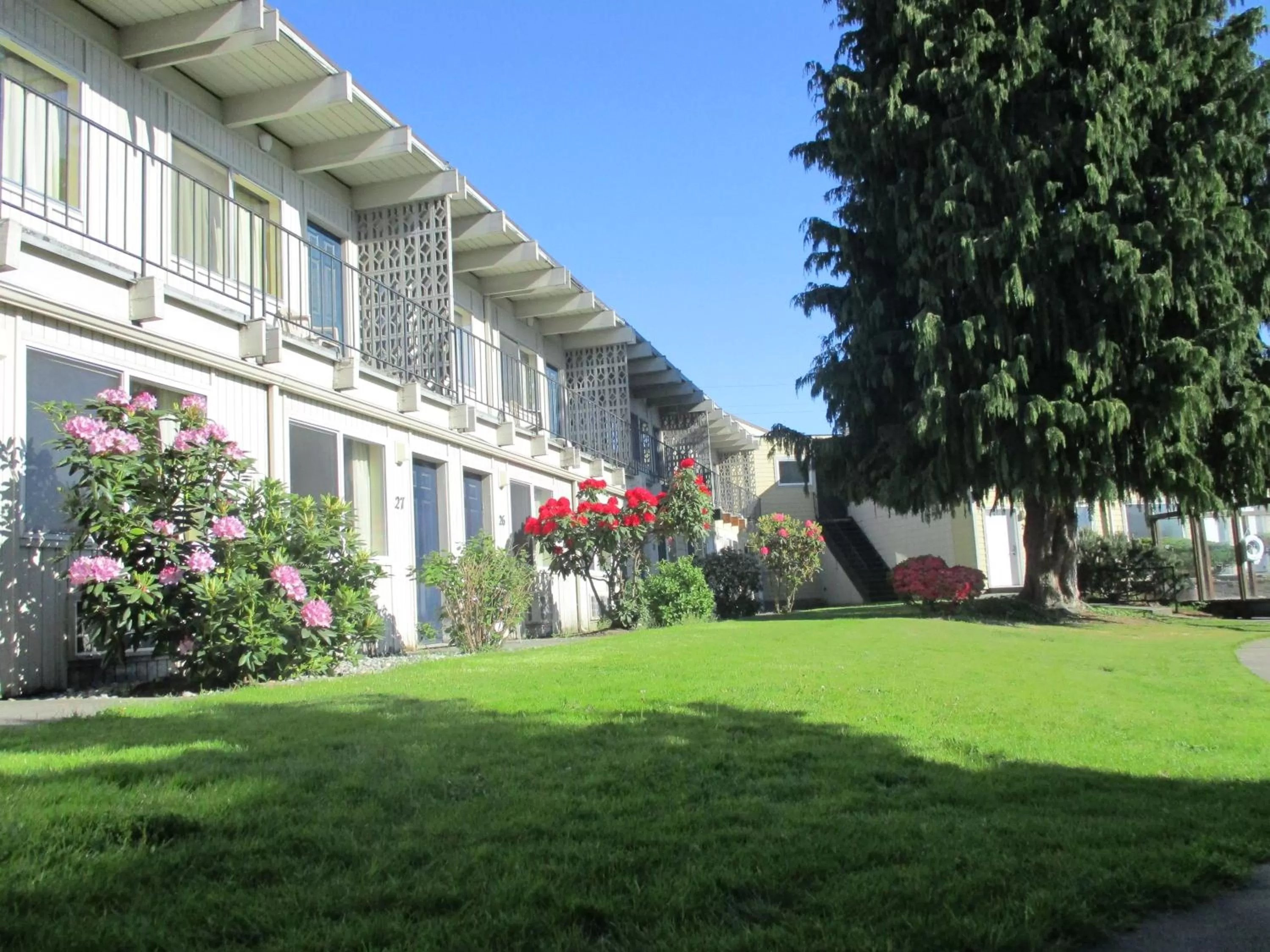 Balcony/Terrace in Cocusa Motel