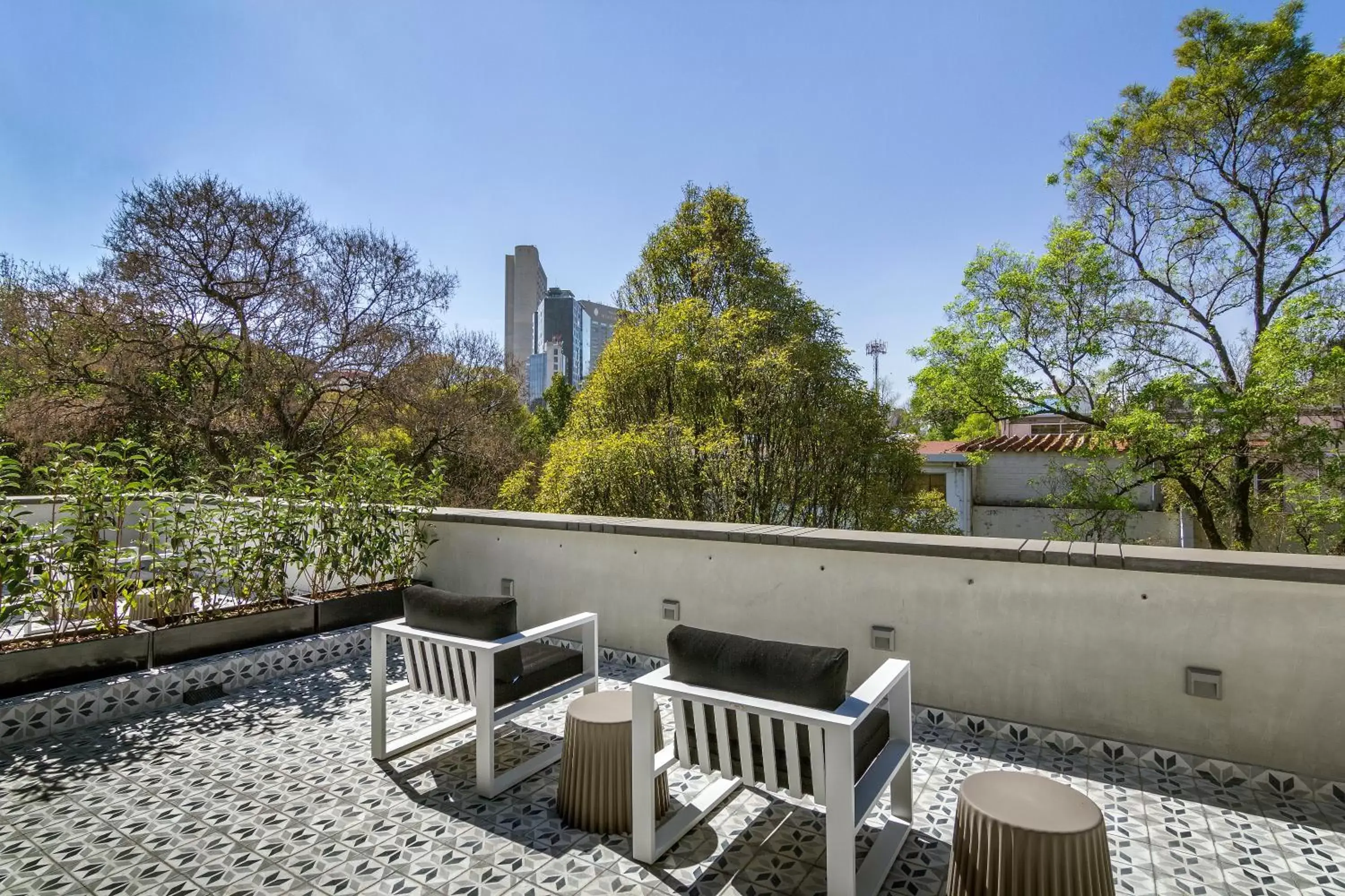 The Wild Oscar The Wild Oscar