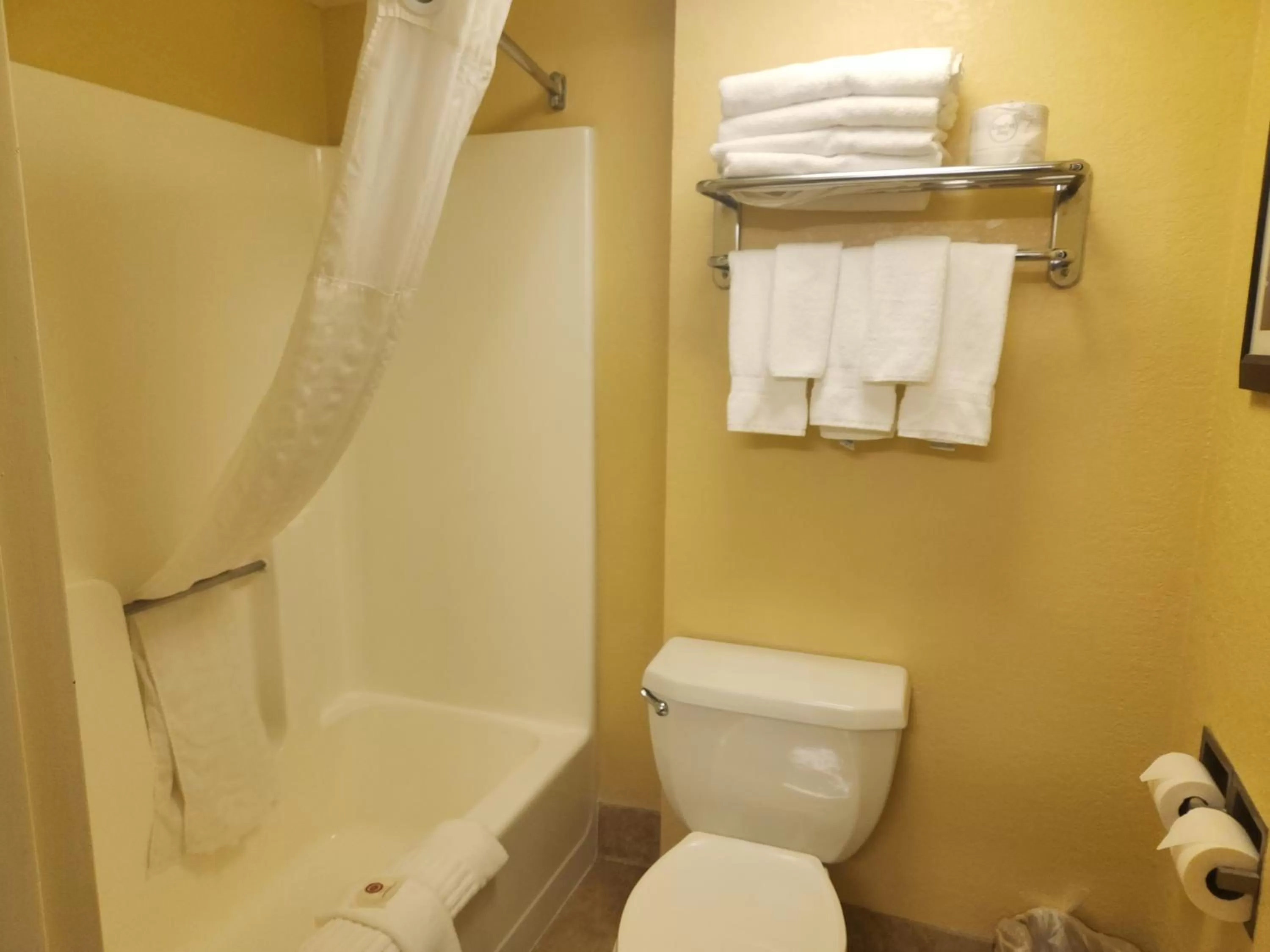 Bathroom in Comfort Inn Hummelstown near the Park - Hershey