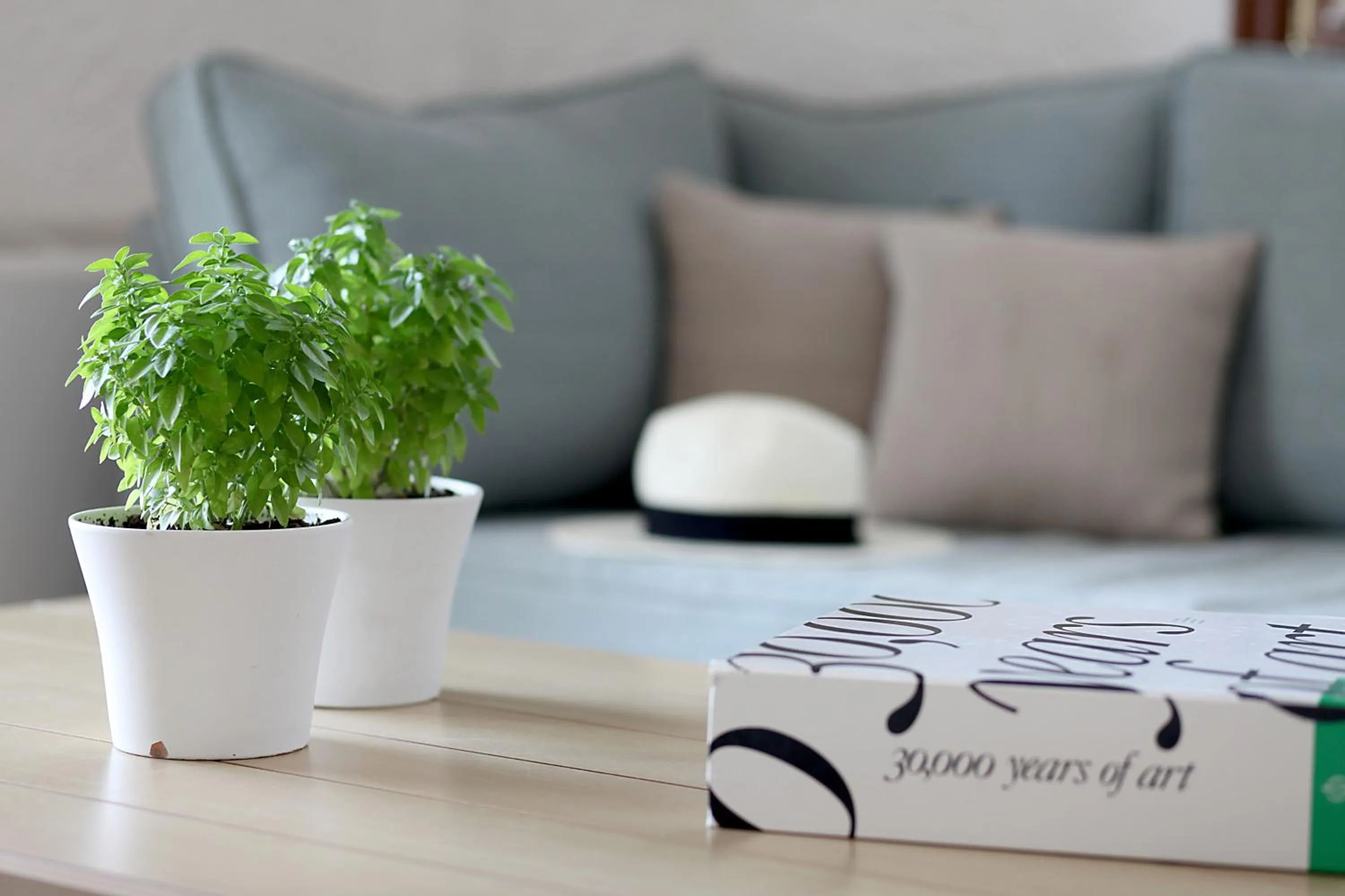 Living room in Skopelos Village Hotel