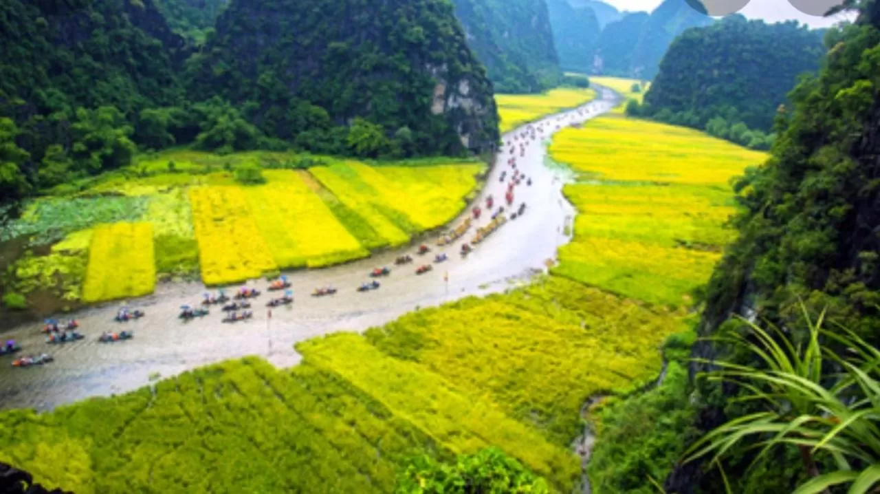 Natural landscape, Bird's-eye View in Green Space Homestay
