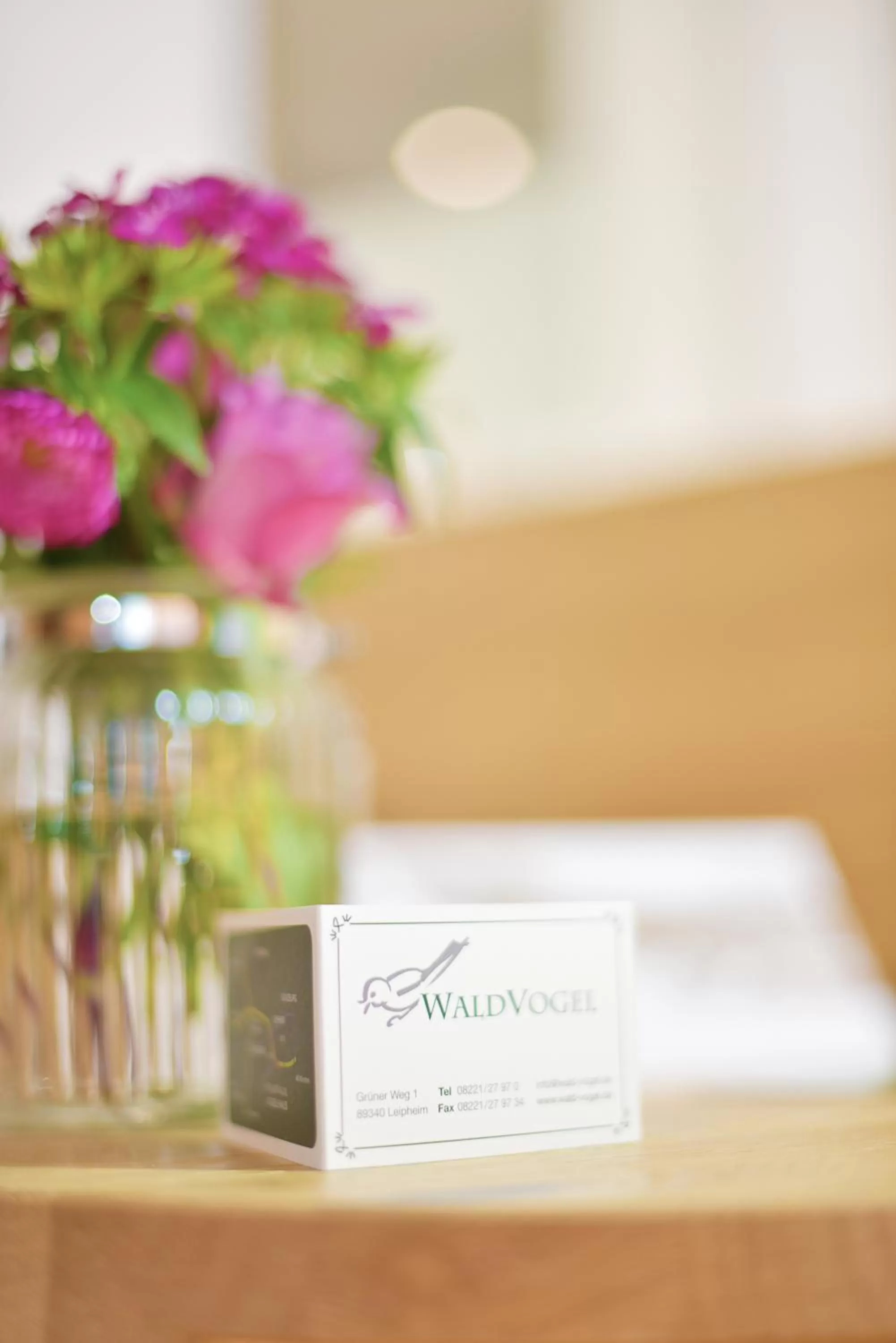 Other in Hotel Waldvogel