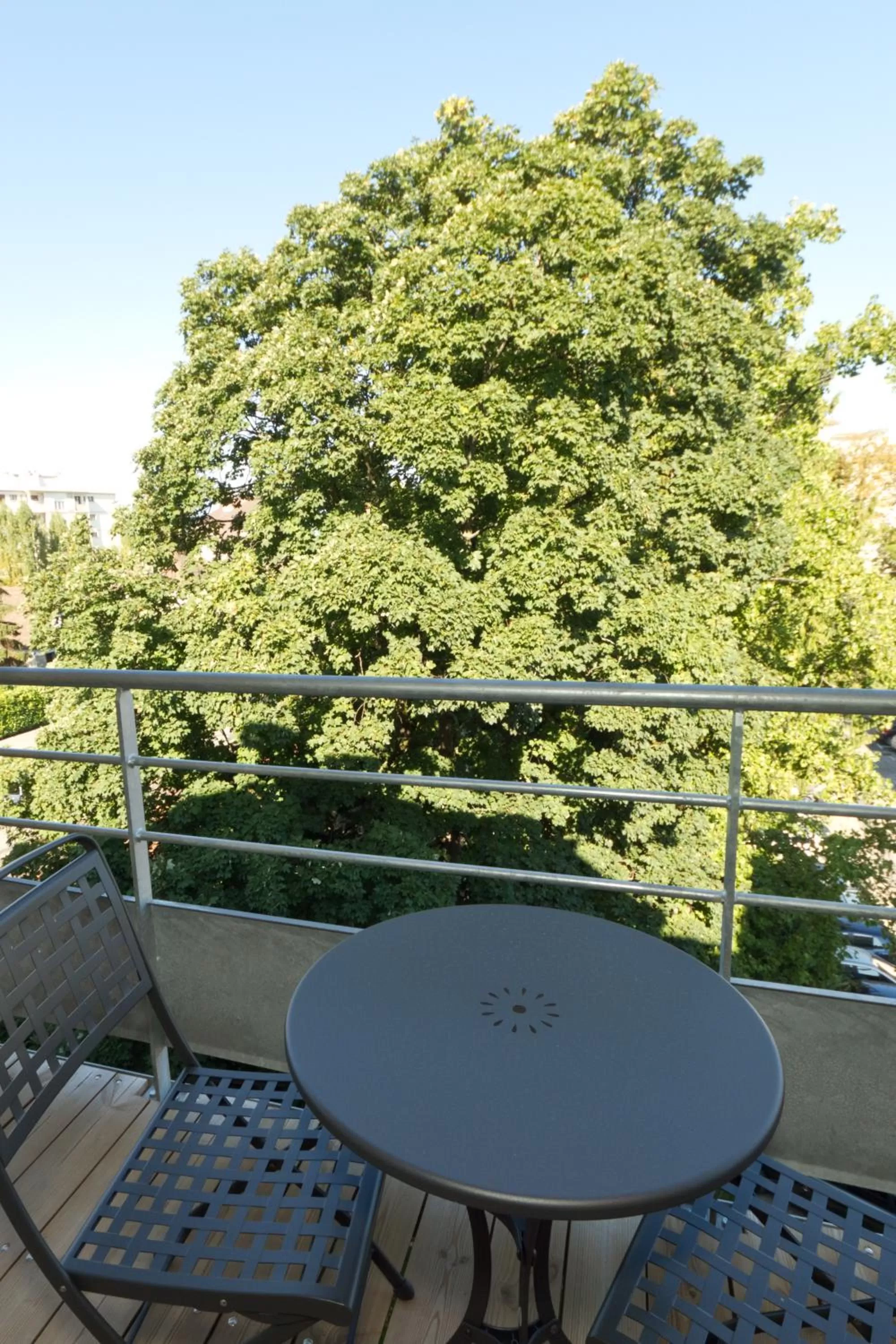 Balcony/Terrace in Villa Thermae Thonon-Les-Bains