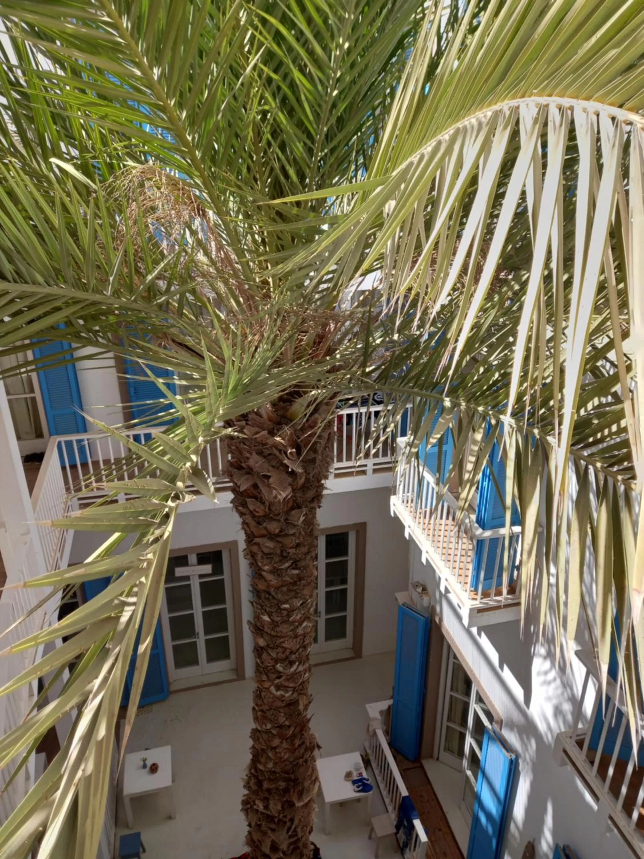 Inner courtyard view, Pool View in B&B Sereia Azul Boa Vista