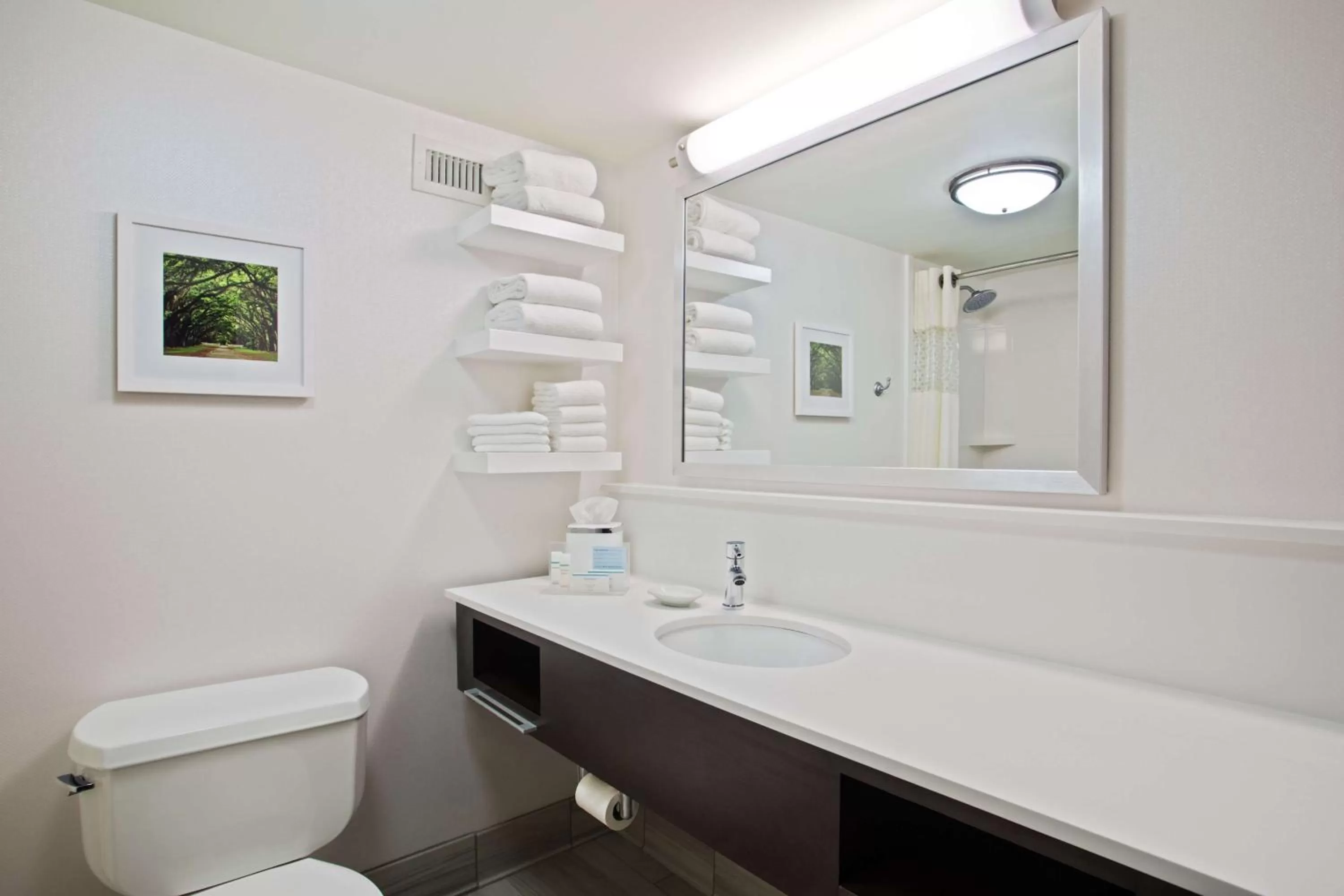 Bathroom in Hampton Inn & Suites Atlanta/Duluth/Gwinnett