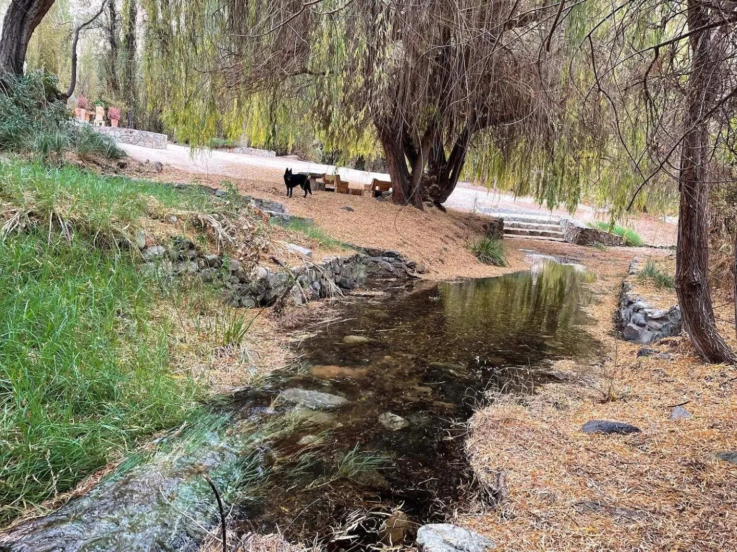 Spring in Glamping Miraflores