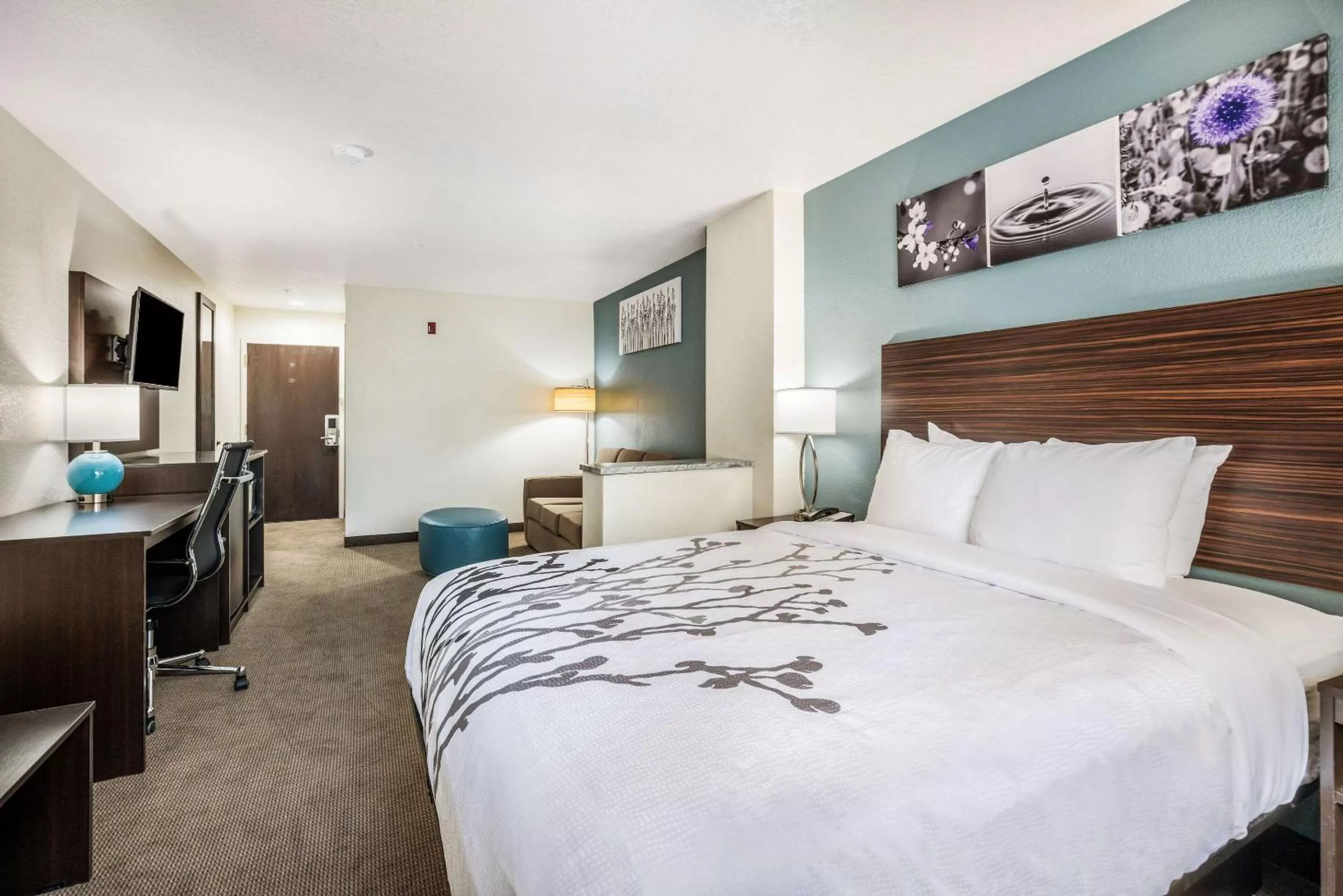 Bedroom, Bed in Sleep Inn & Suites Tallahassee-Capitol