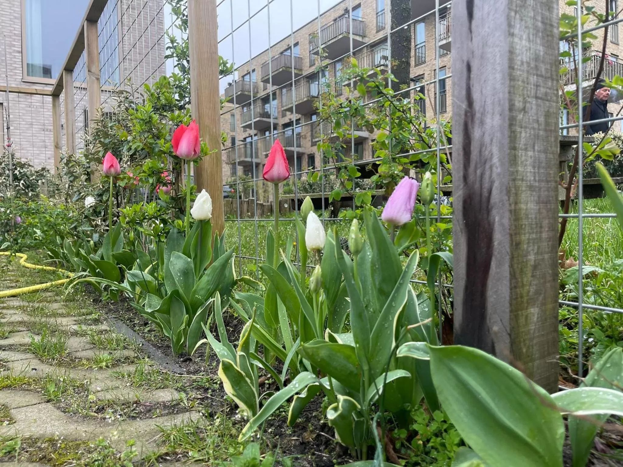 Garden in vondice hotel