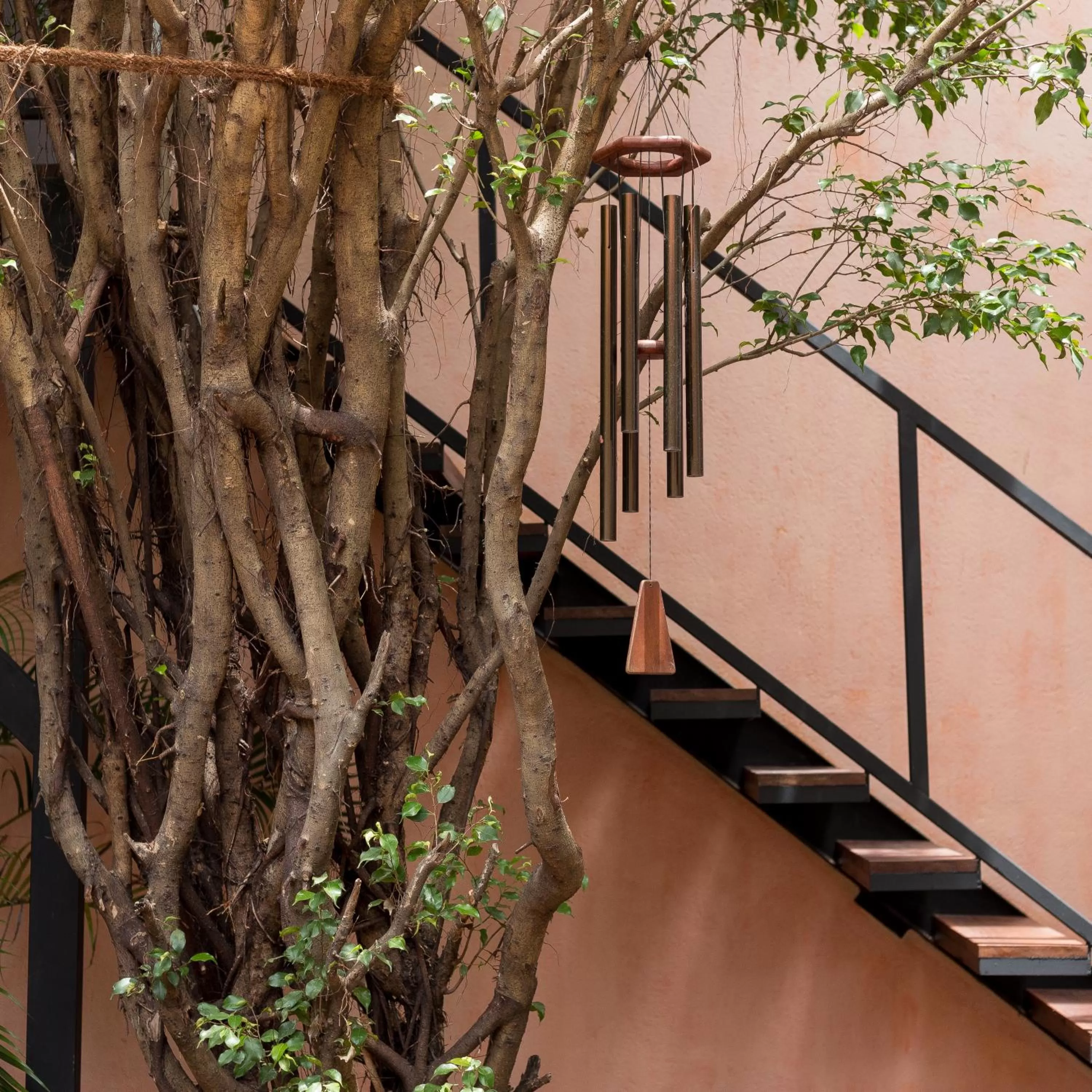 Facade/entrance in Srilax