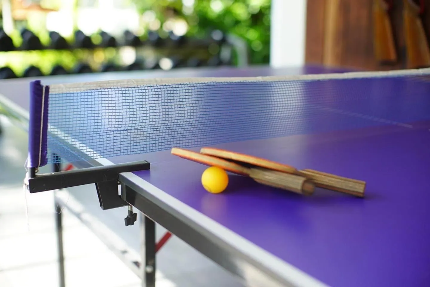 Table tennis in Villa Panalai