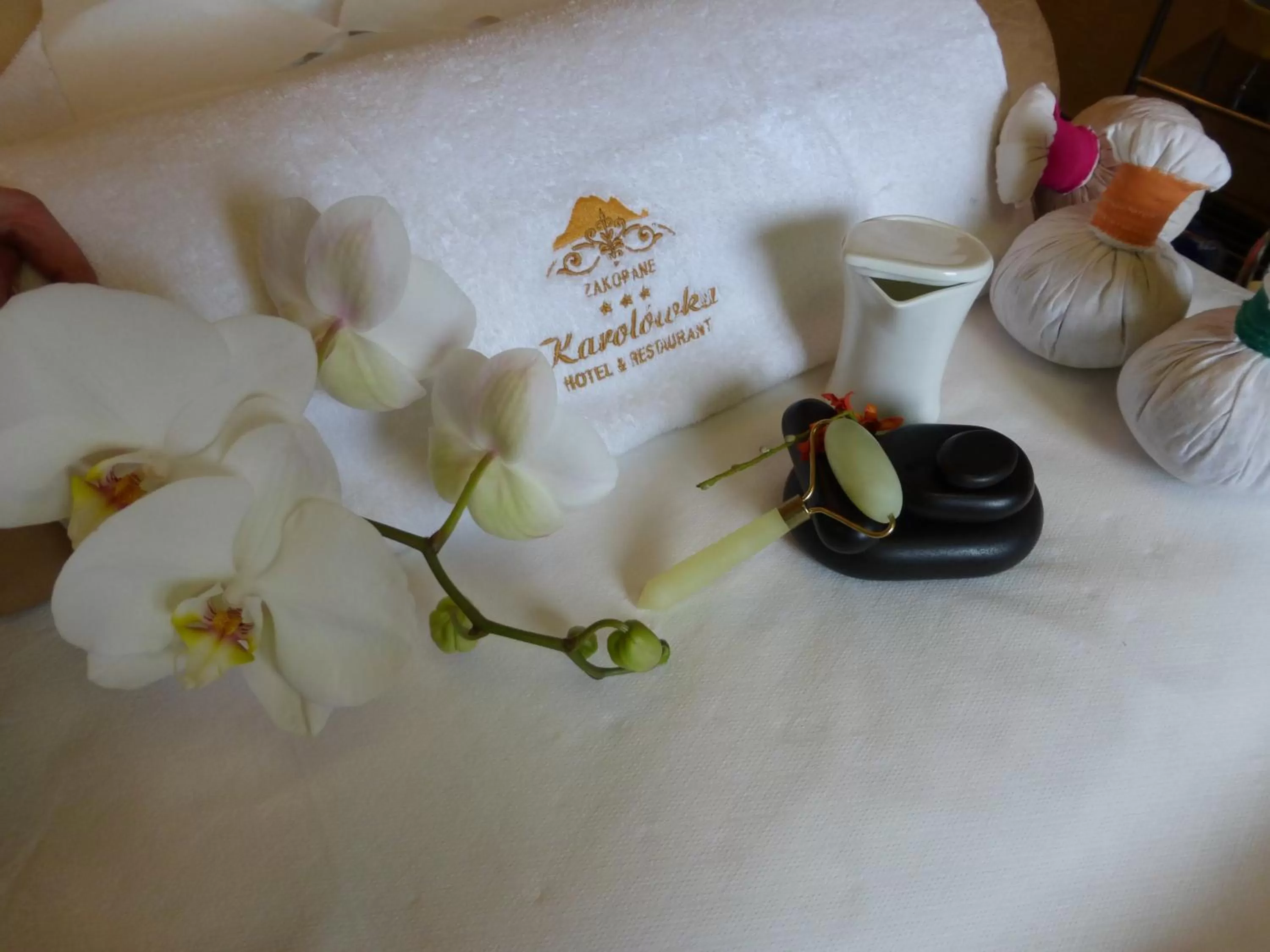 Other in Hotel Dwór Karolówka