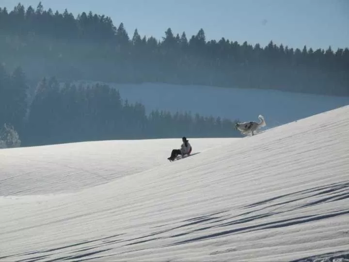 People in ZUR TRAUBE Schwarzwaldhotel & Restaurant am Titisee