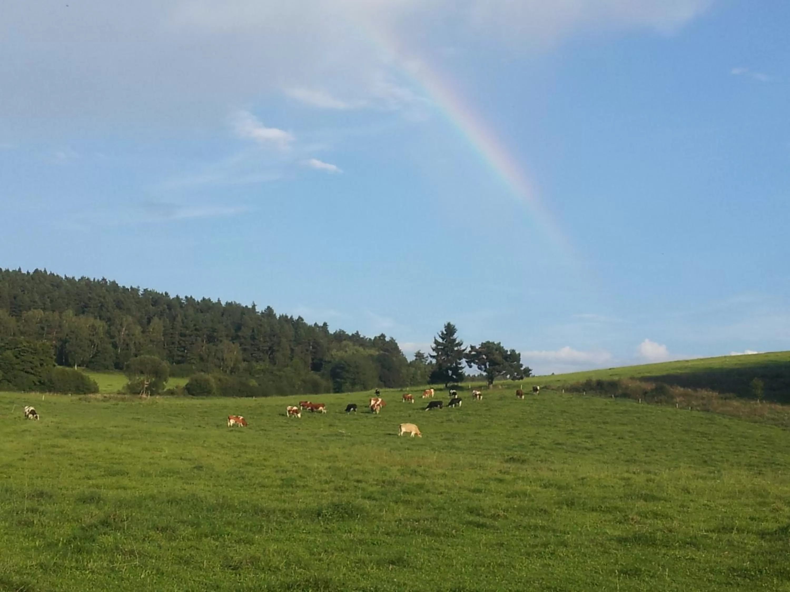 Spring in Wellness Hotel Central