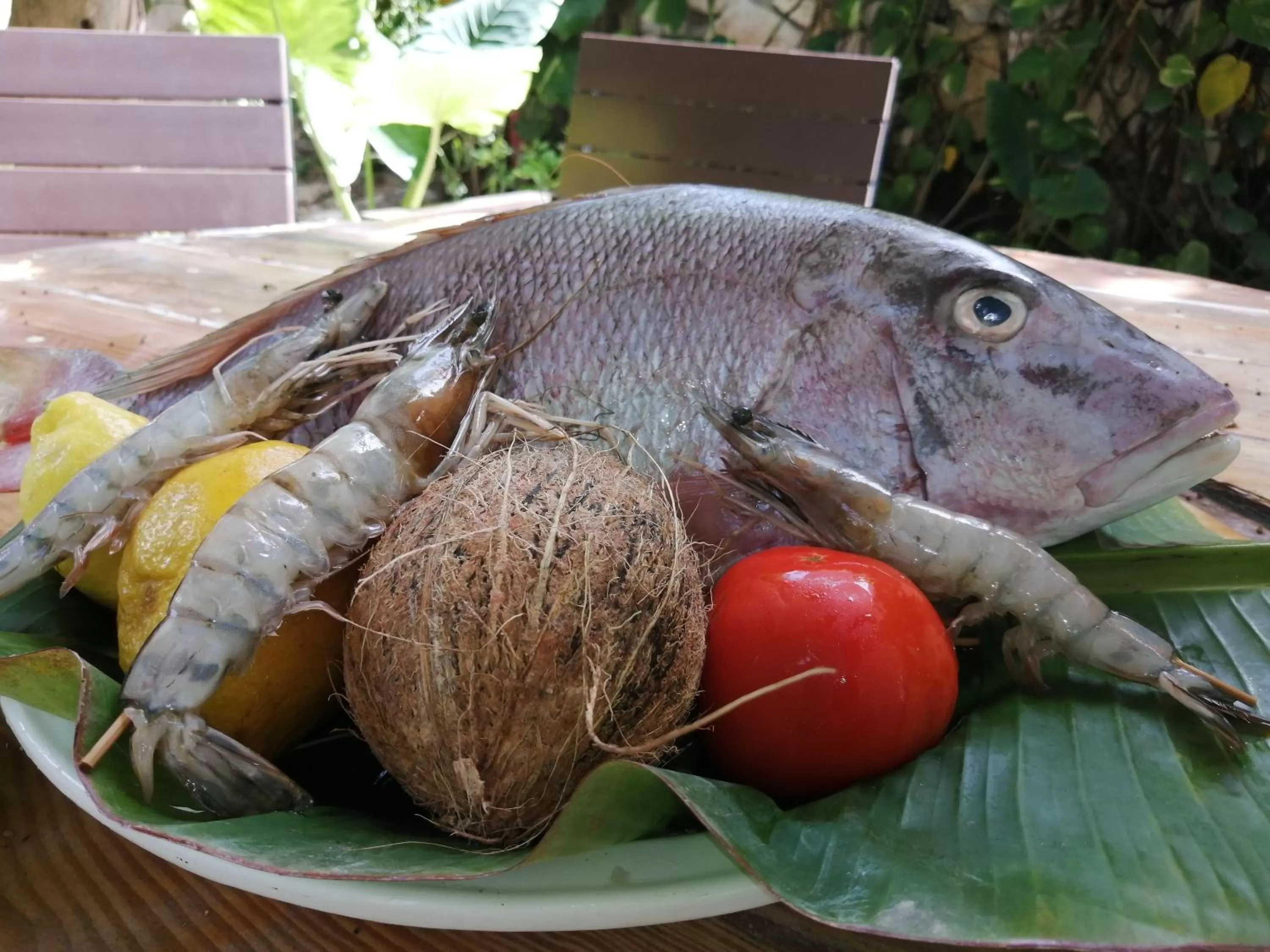 Other Animals in Riviera Punta Cana Eco Travelers