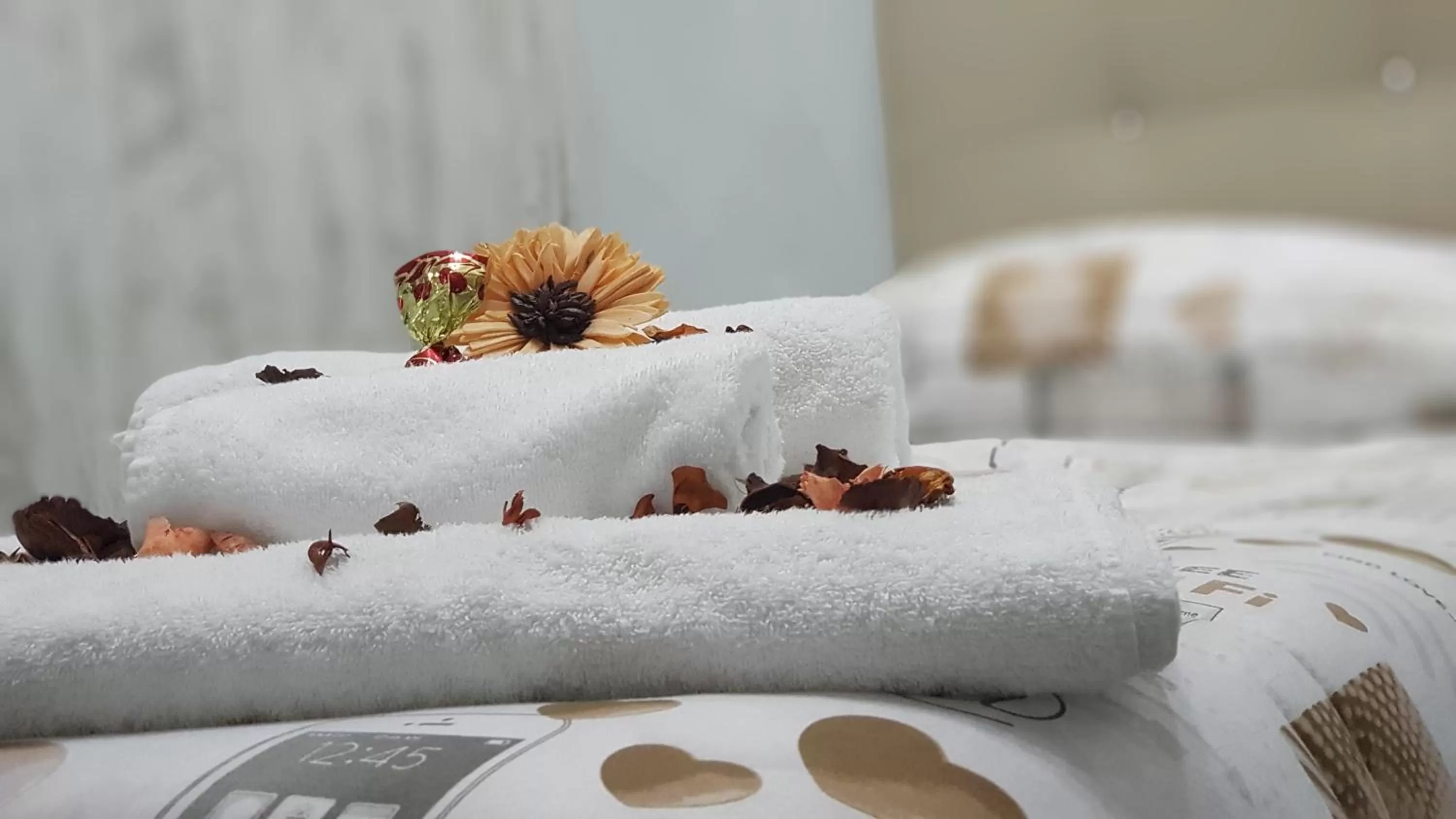 Bed in Nazionale Dream