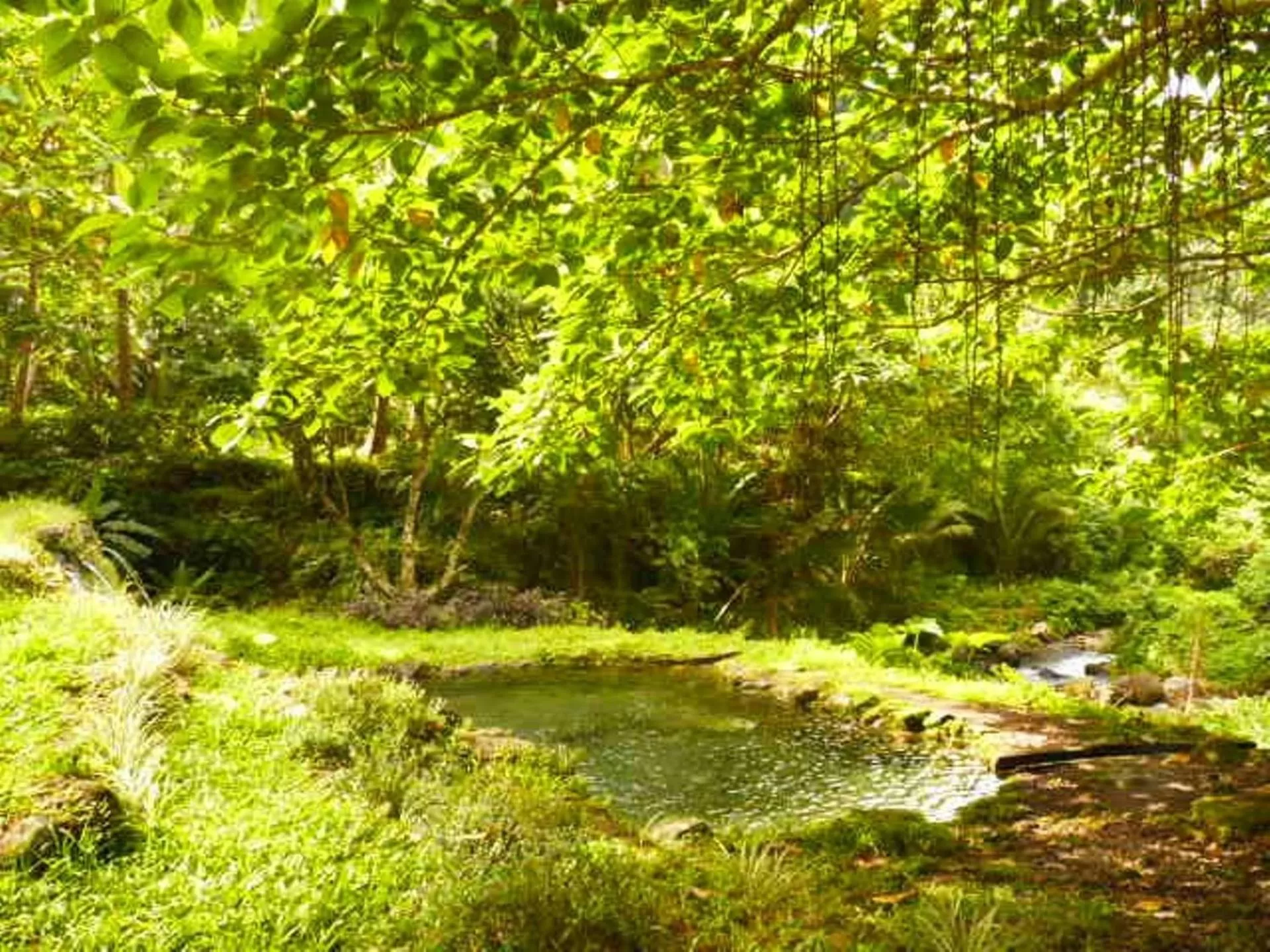 Other in SomeWhere Else Boutique Resort