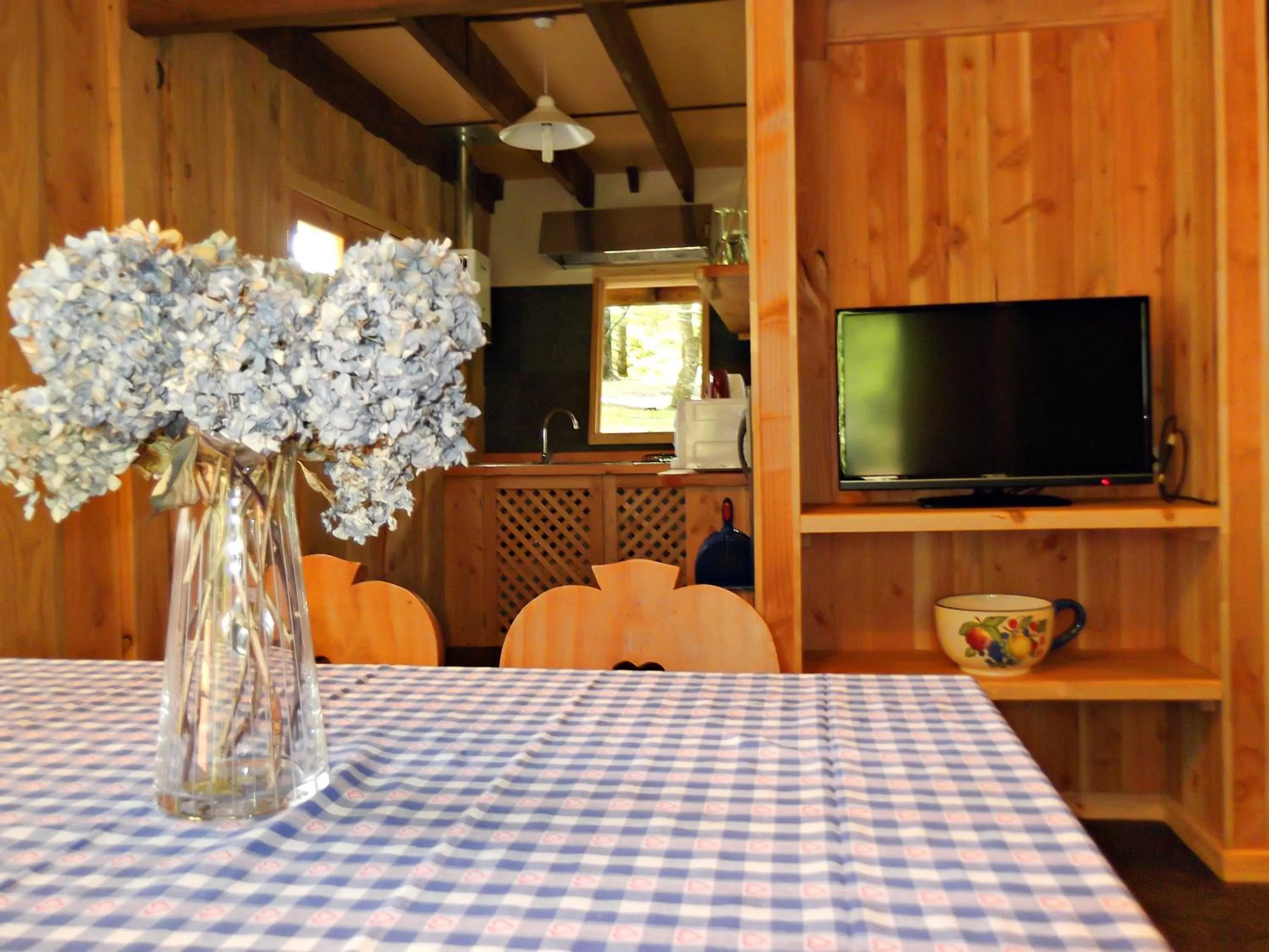 Decorative detail, TV/Entertainment Center in Hotel Salto del Carileufu