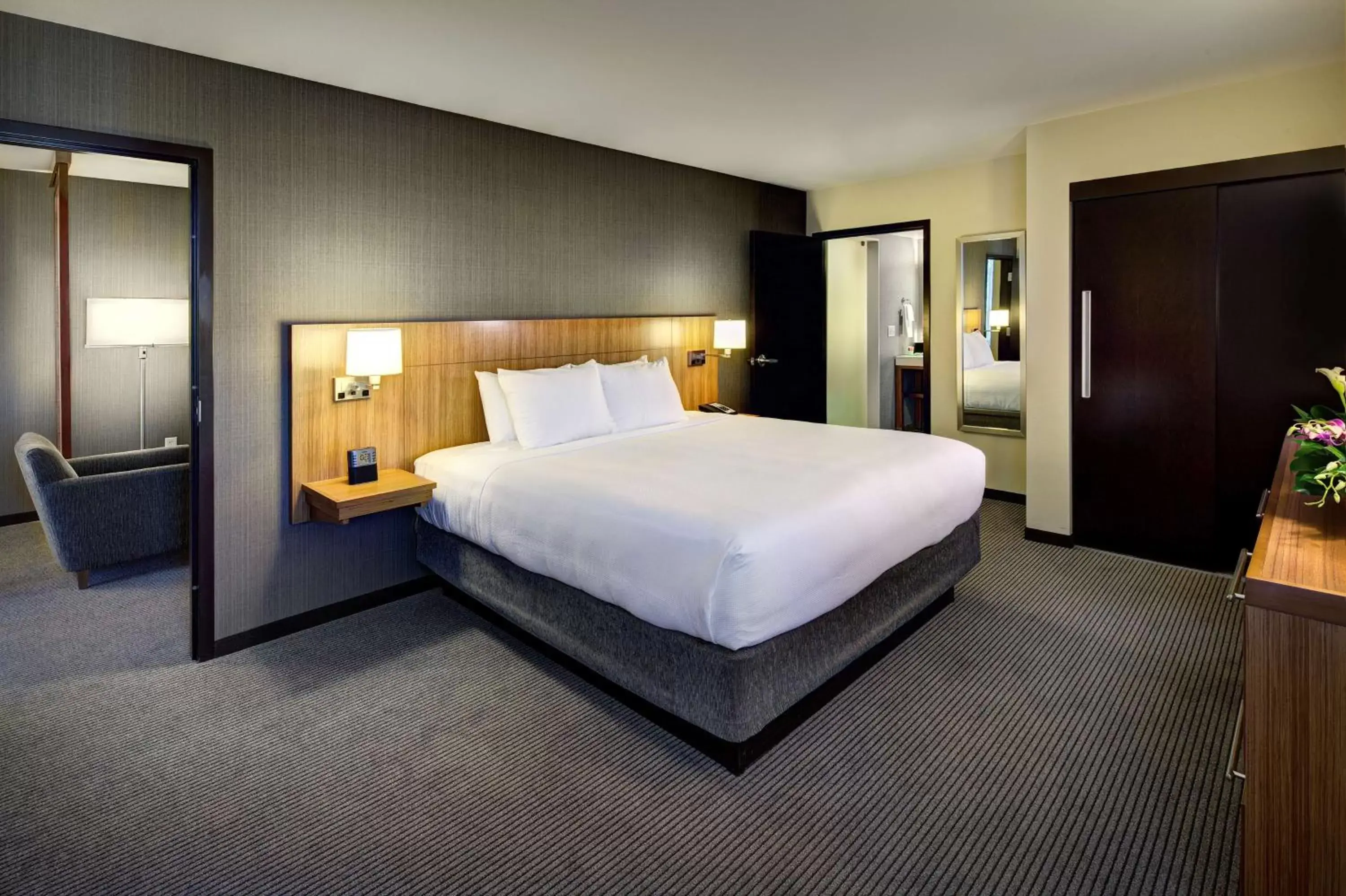 One-Bedroom King Suite with Sofa Bed in Hyatt Place UC Davis One-Bedroom King Suite with Sofa Bed in Hyatt Place UC Davis