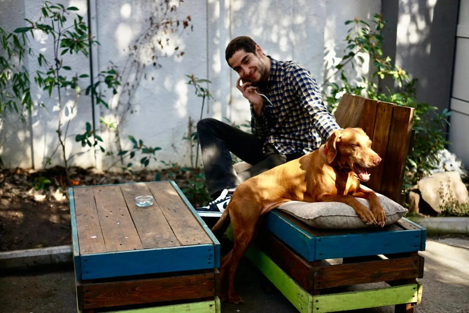 Pets in Good People Design Hostel