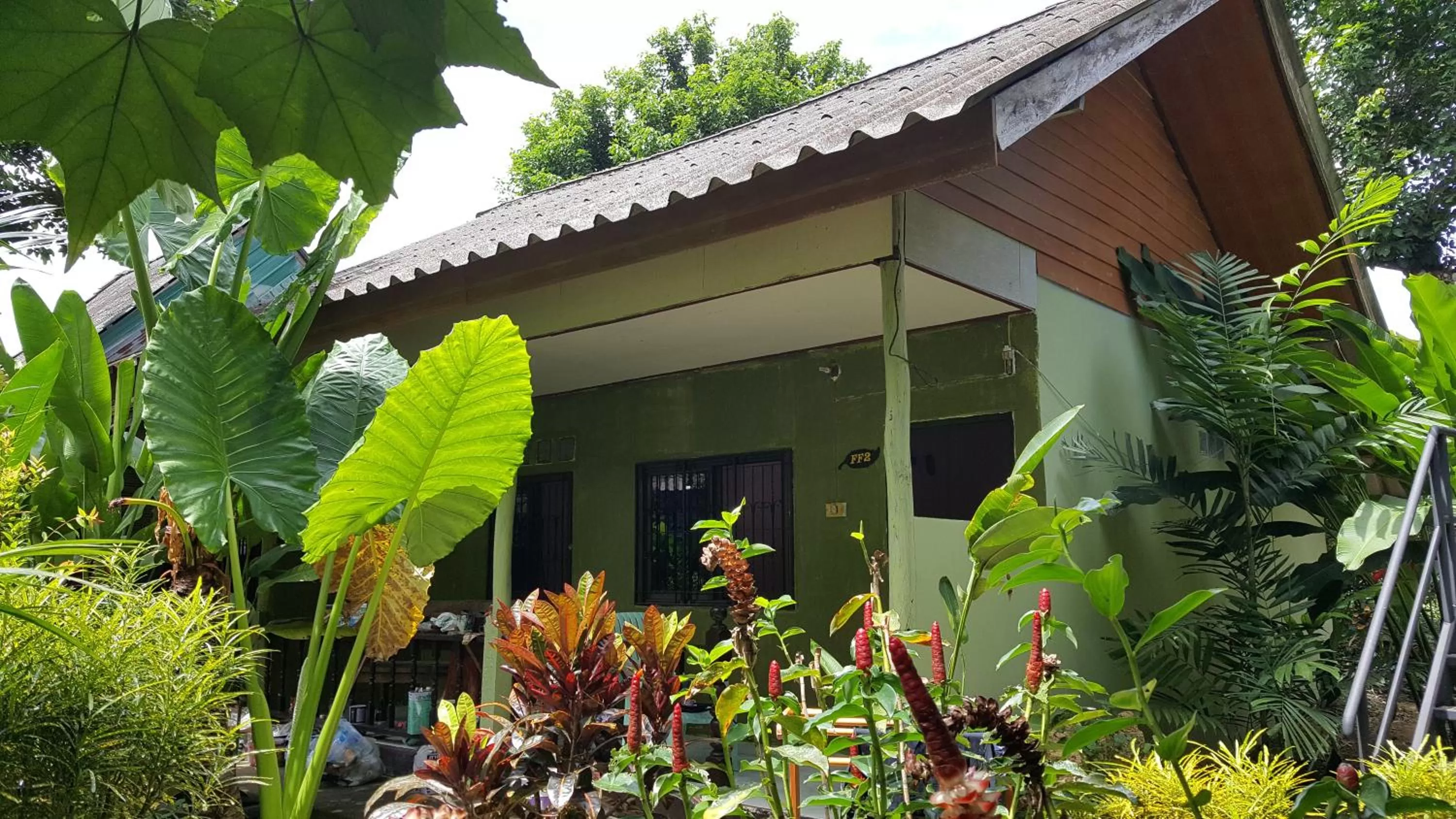 Property building in Khao Sok Jungle Huts Resort