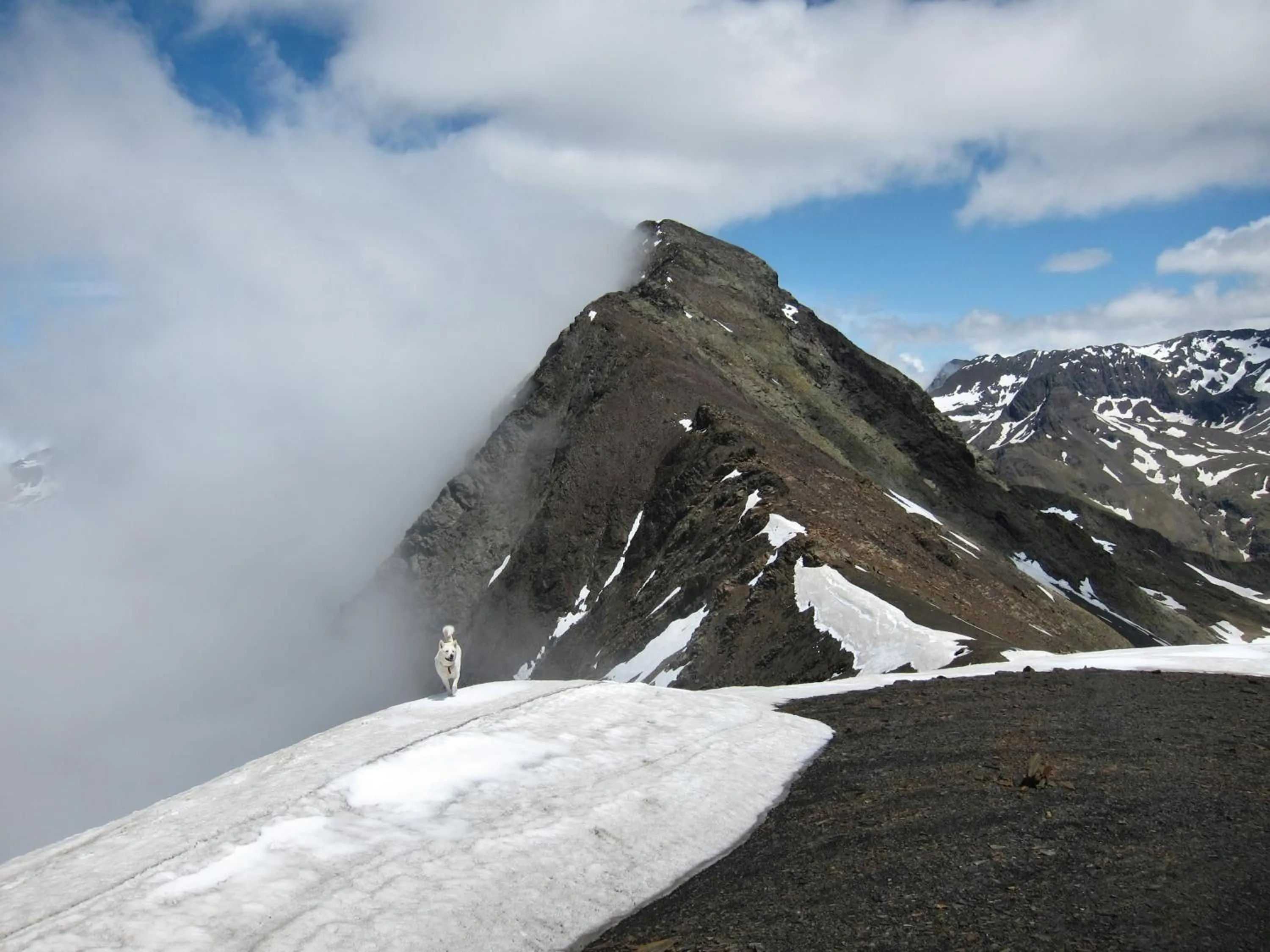 Area and facilities in Hotel Meson de L’Ainsa