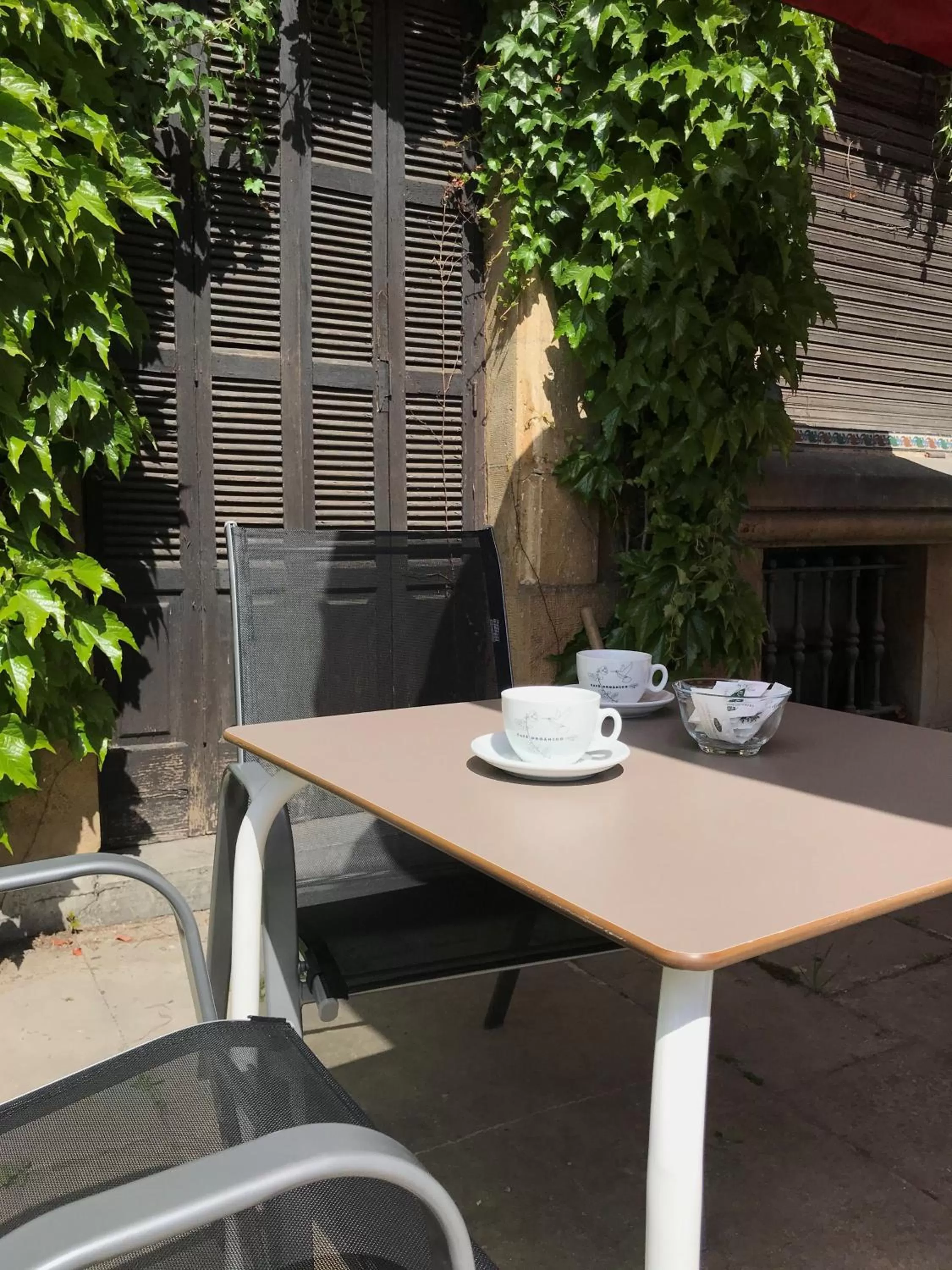 Garden in M&UGA Hotela