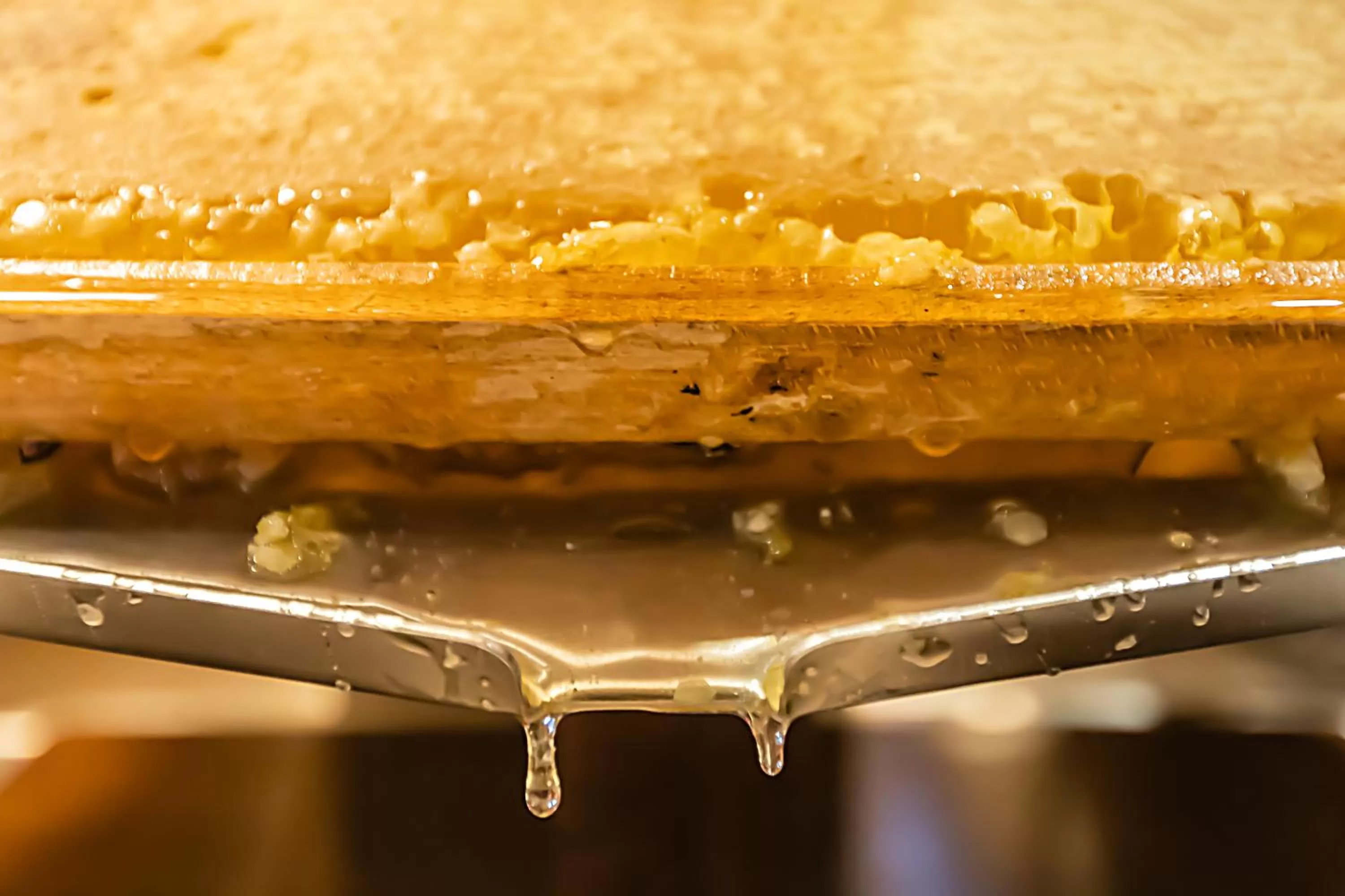 Restaurant/places to eat in Hotel ibis Porto Gaia