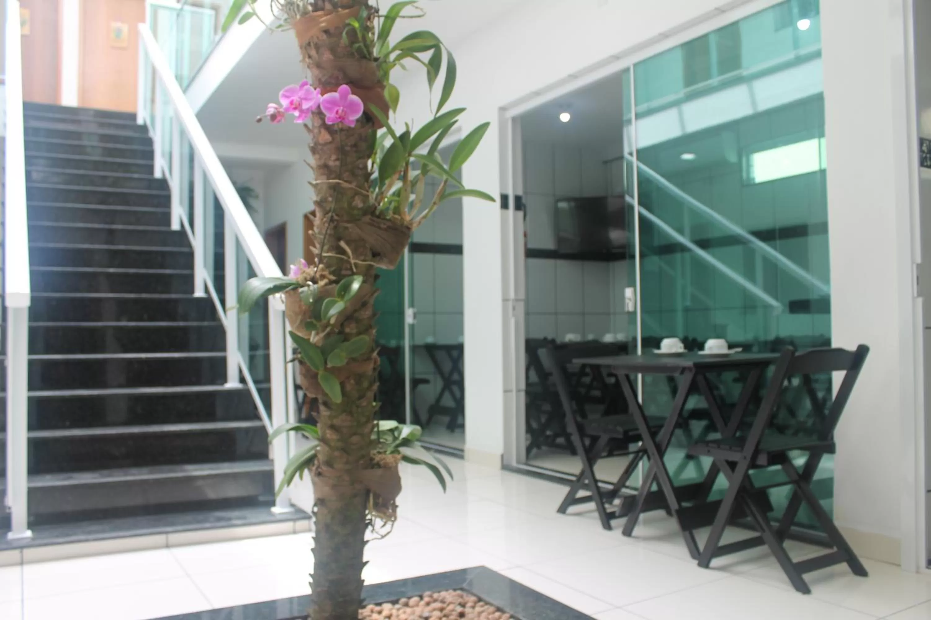 Pousada Orquideas de Maria