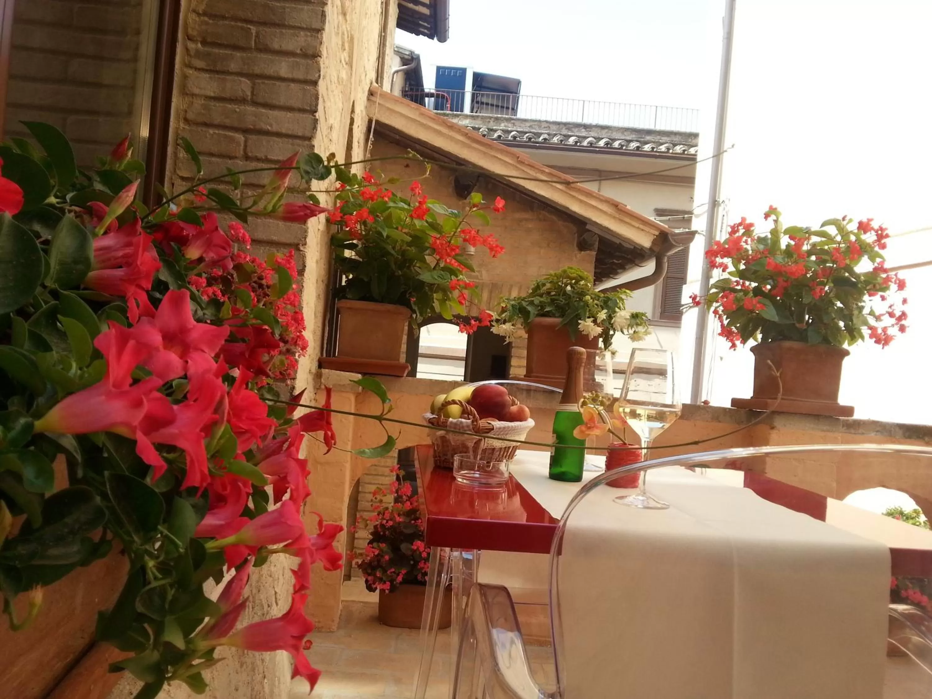 Balcony/Terrace in Hotel Sorella Luna