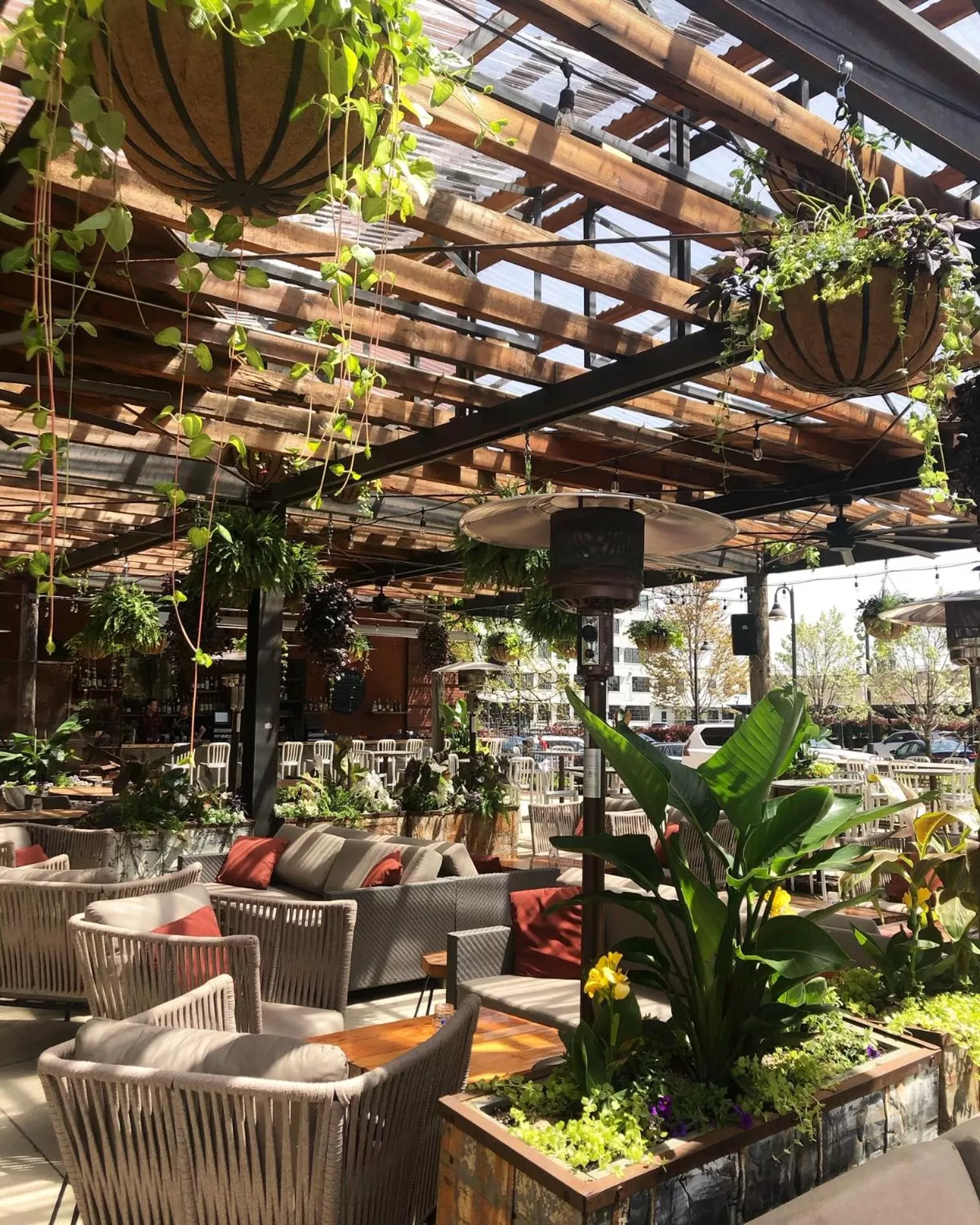 Patio in The Iron Horse Hotel