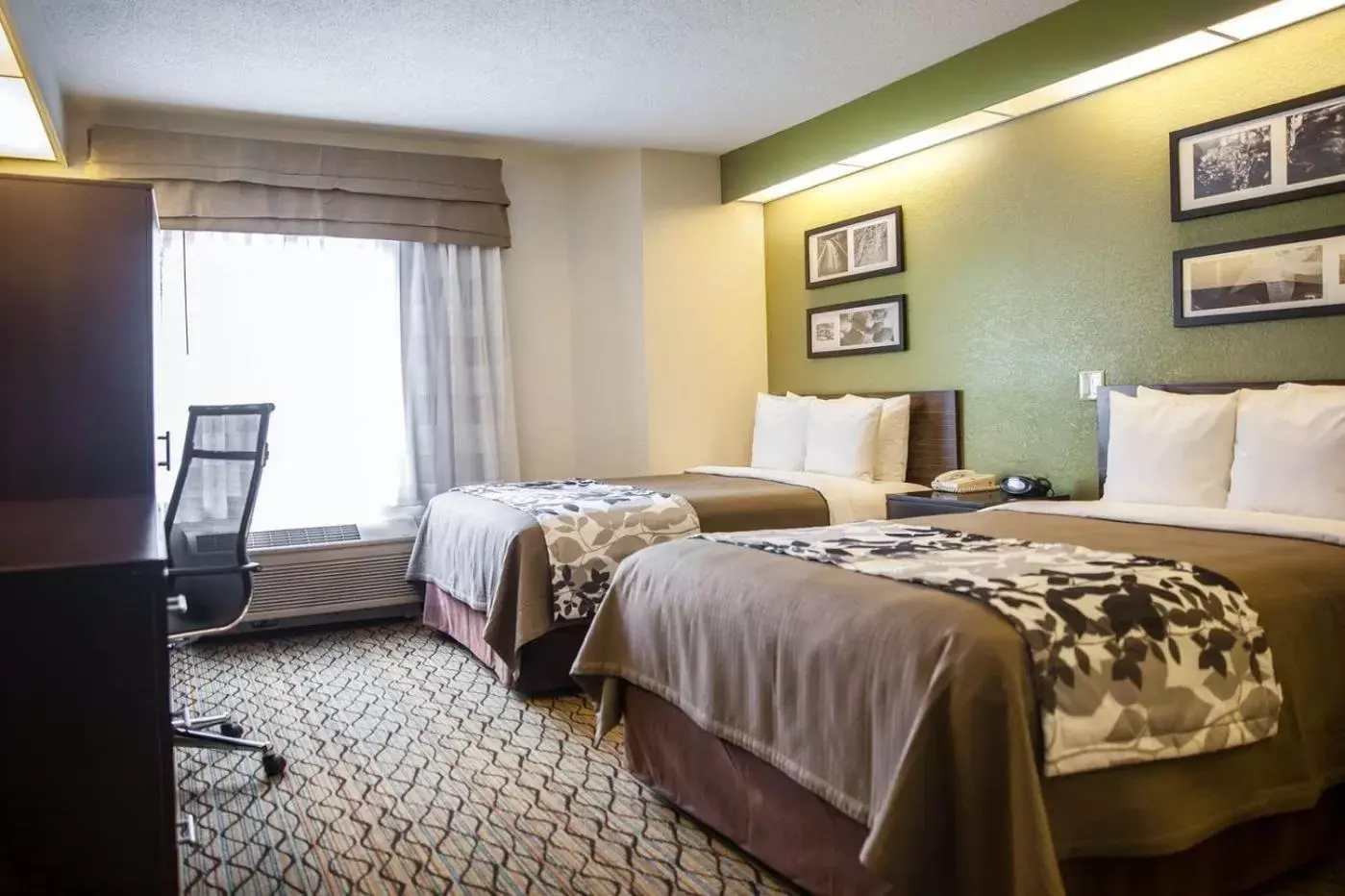 Standard Double Room in Sleep Inn Rockville Standard Double Room in Sleep Inn Rockville