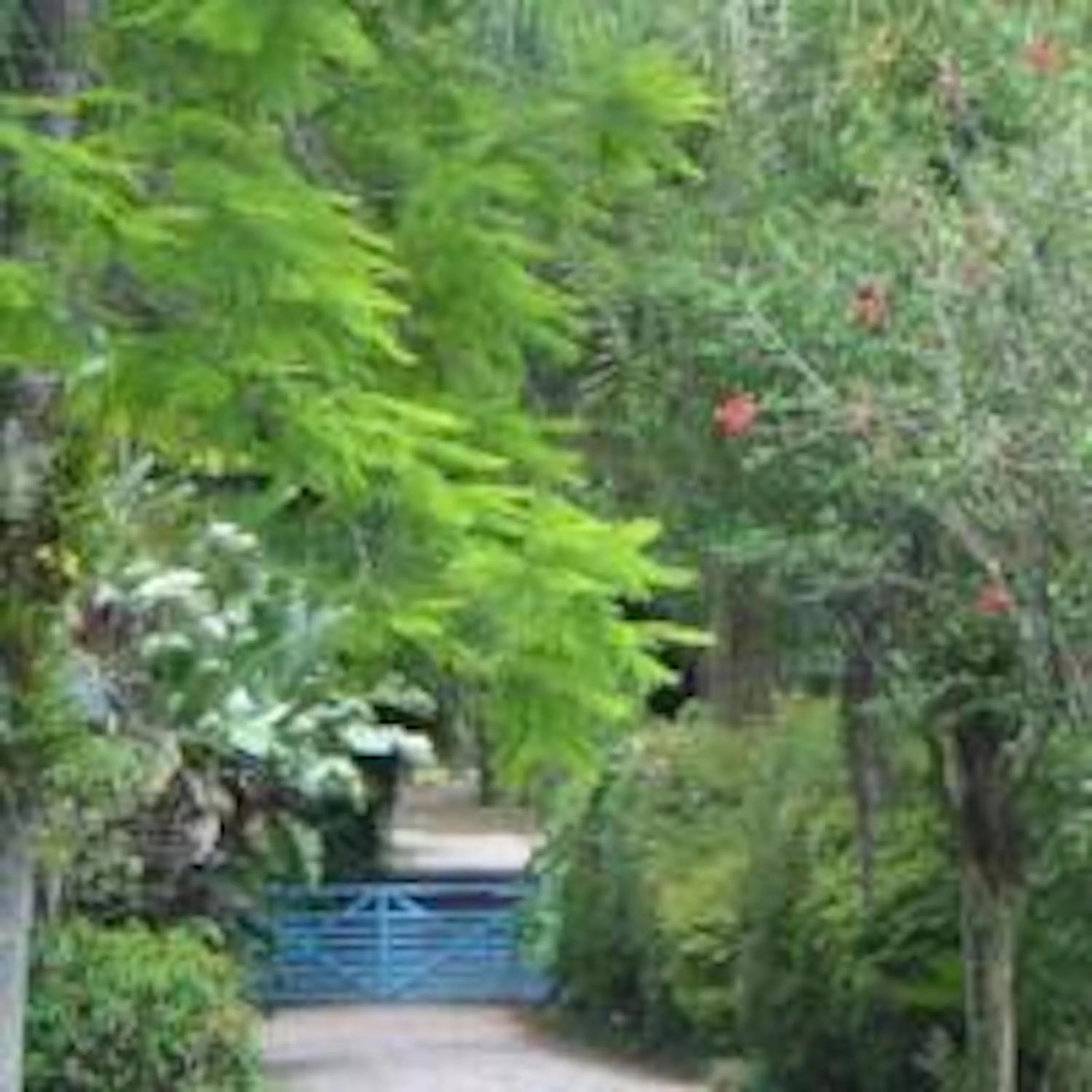 Hiking in Charqueada Santa Rita Pousada de Charme