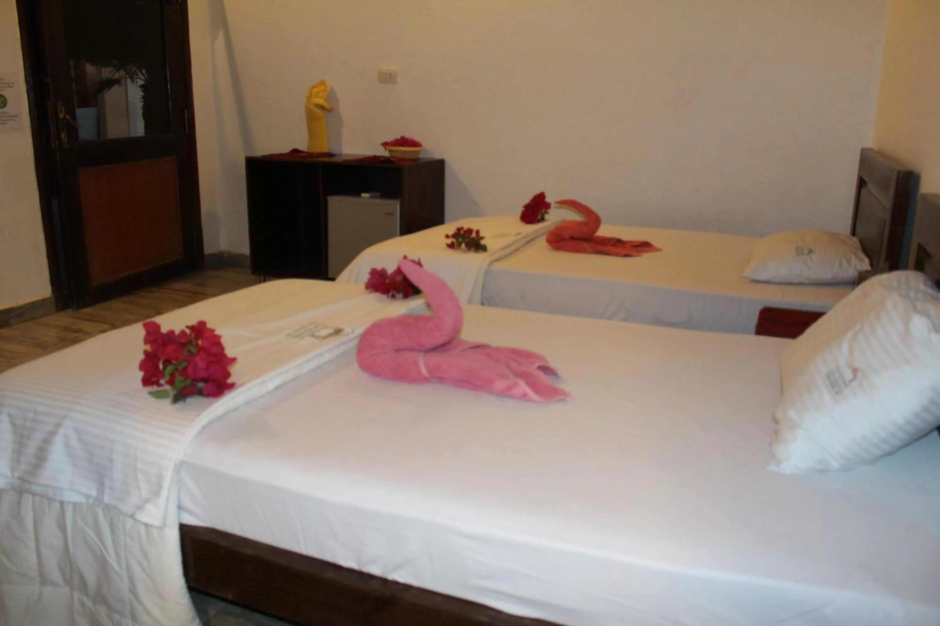 Twin Room with Garden View - single occupancy in Sunshine Divers Club - Il Porto