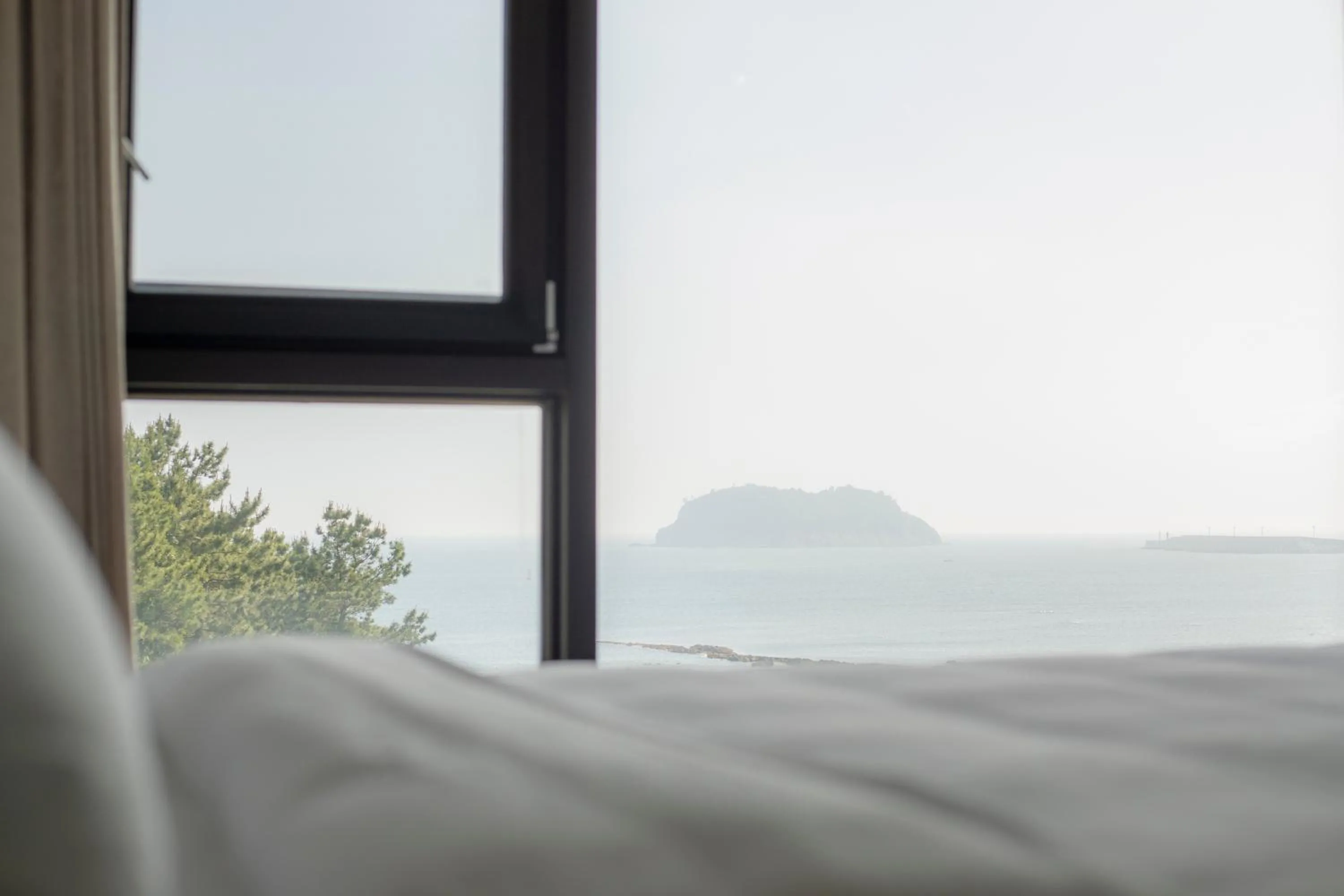 Natural landscape in Hotel Seogwipean