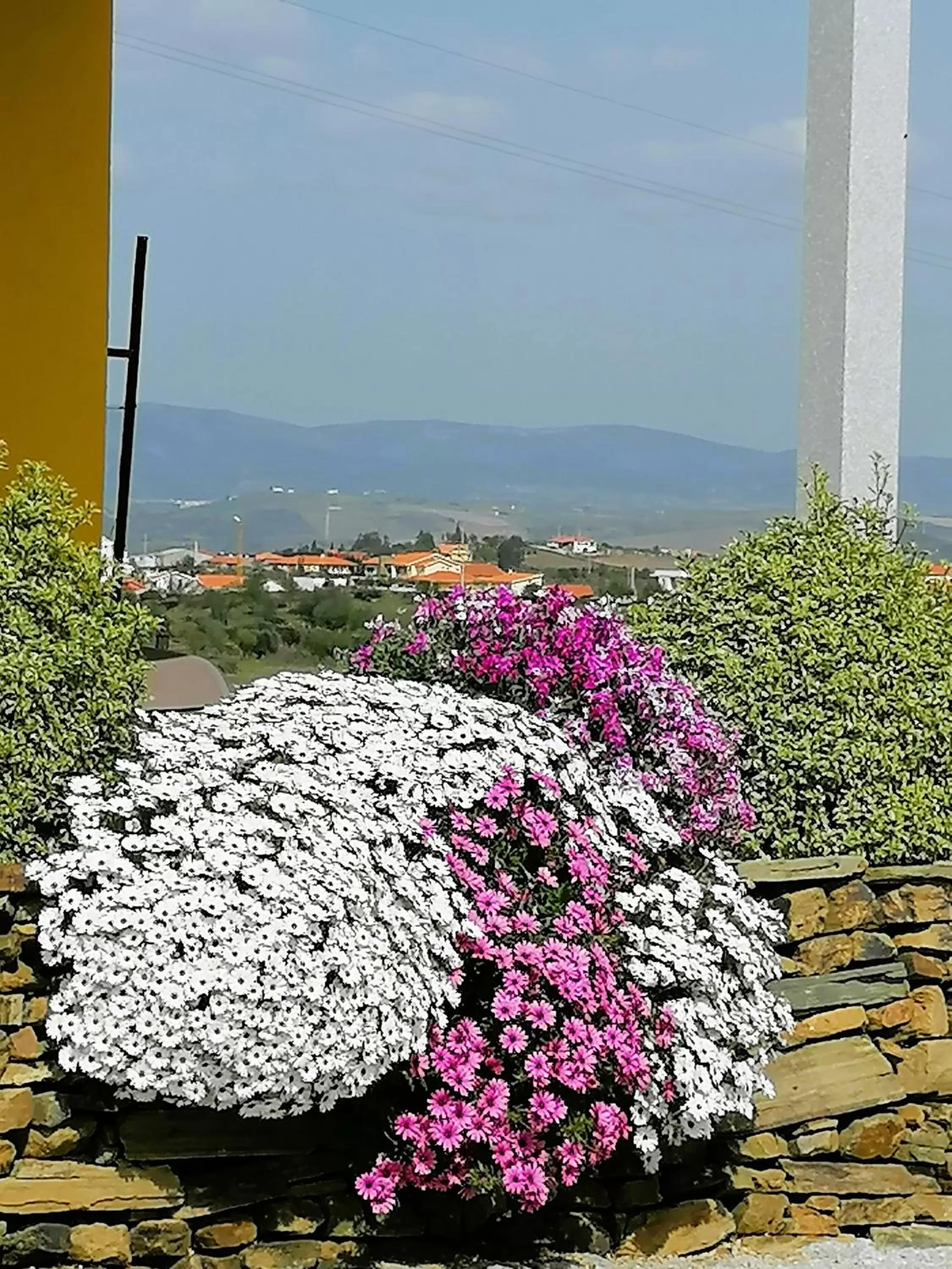 Mountain view in A Flor da Rosa