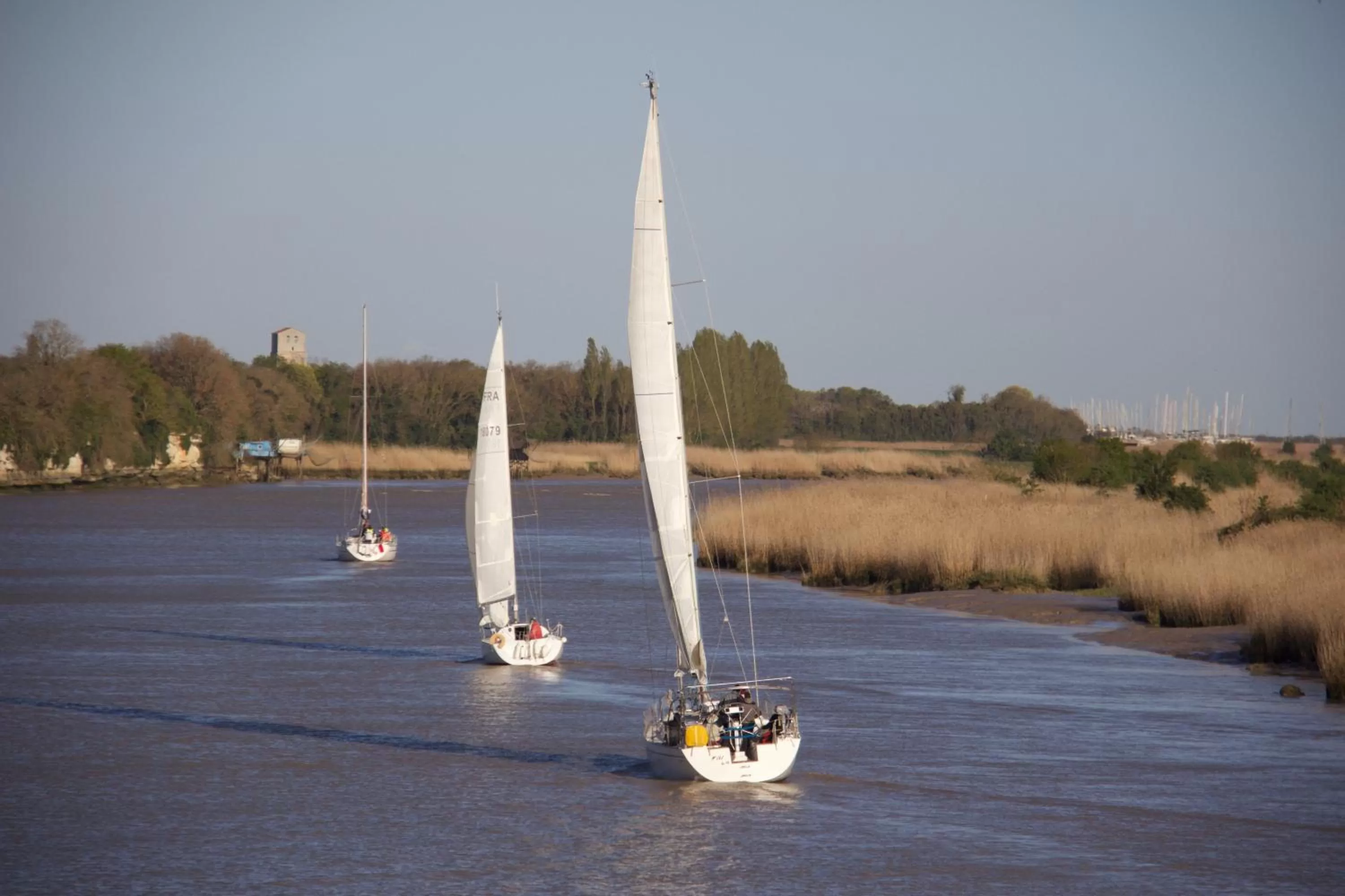 View (from property/room) in La Charentine