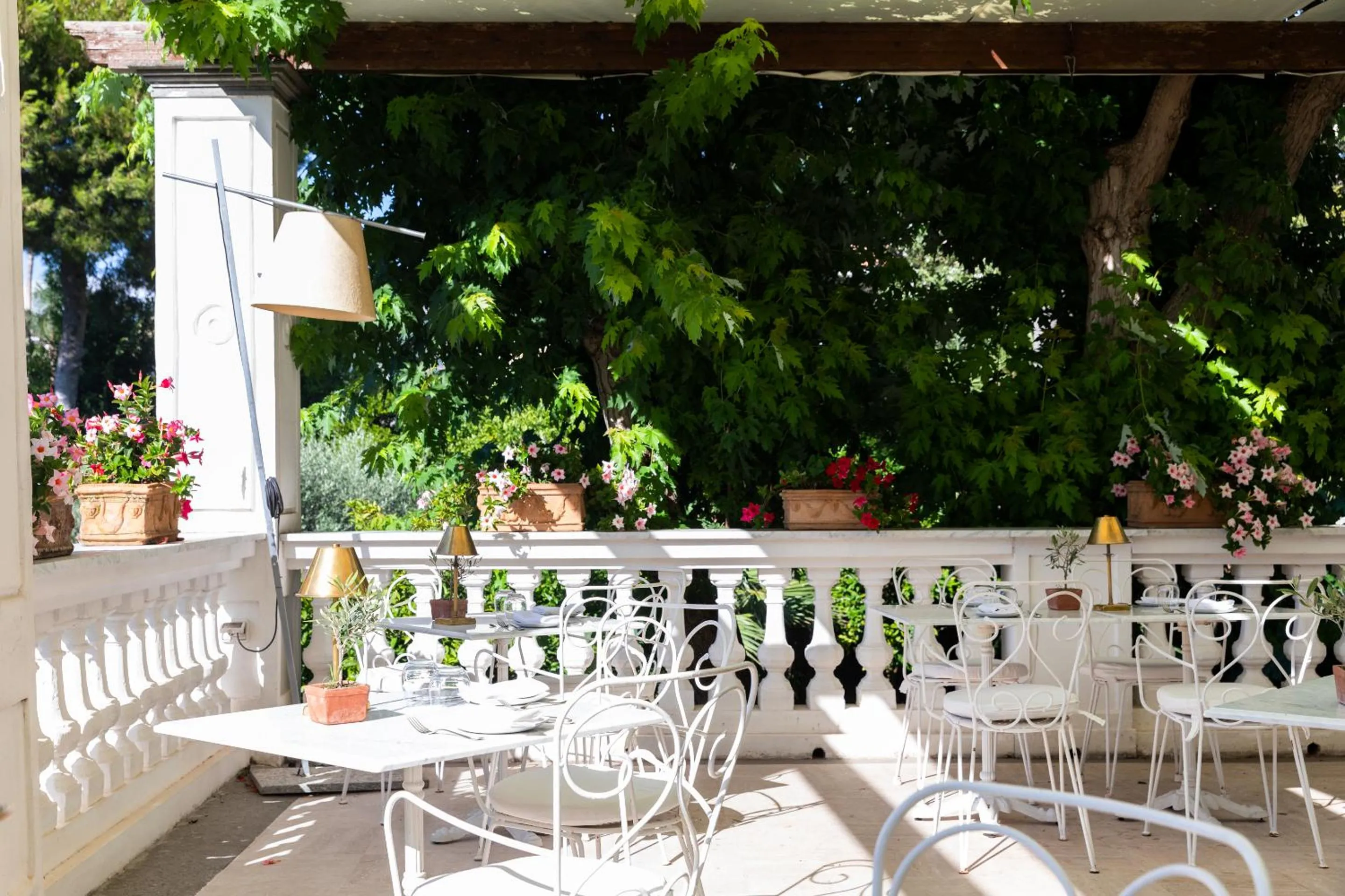 Restaurant/places to eat in Grand Hotel Cocumella