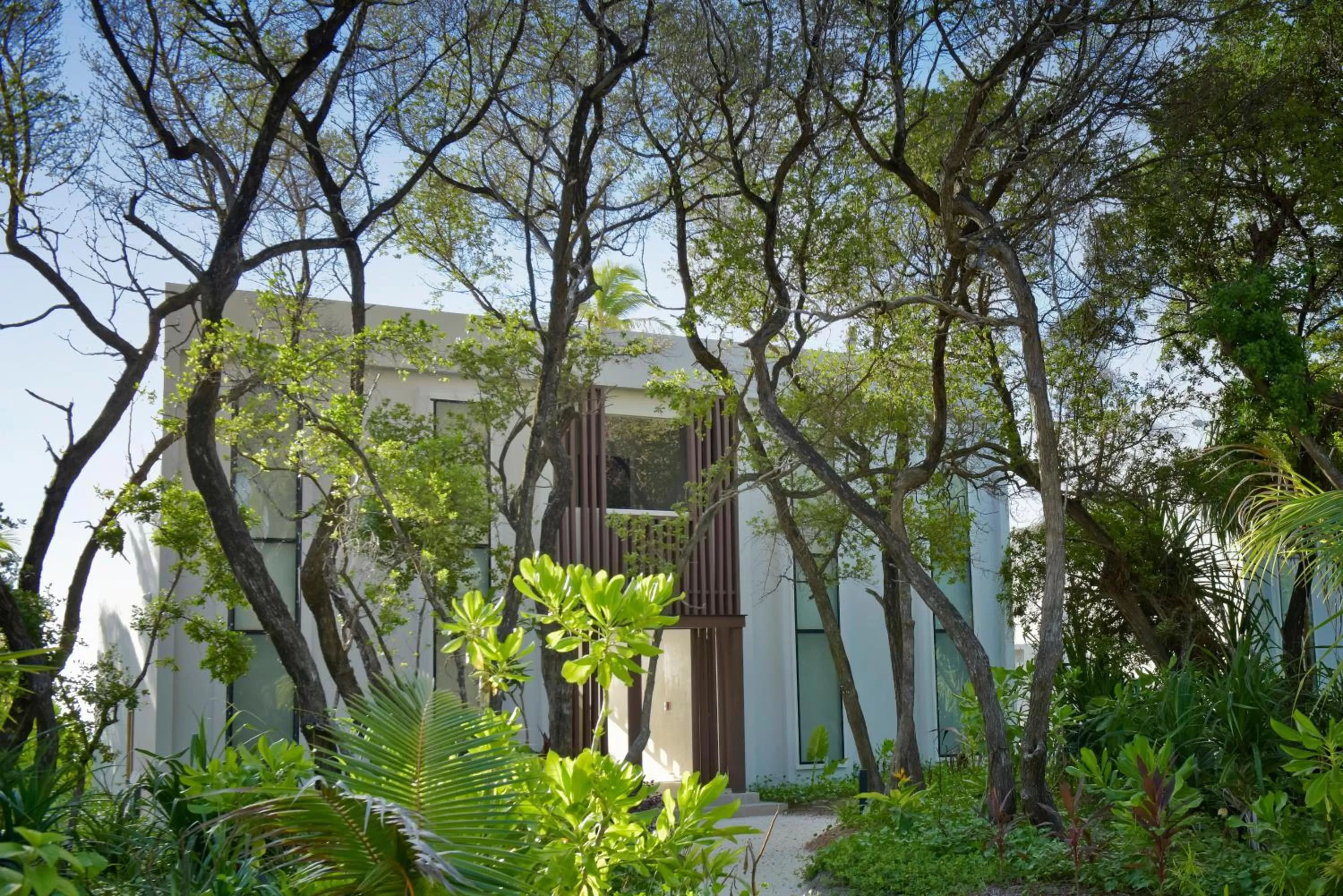 Garden in Kandima Maldives - 50 Percent Off Return Domestic Flights for stays of 4 nights or more between 11th April 2026 to 31st October 2026