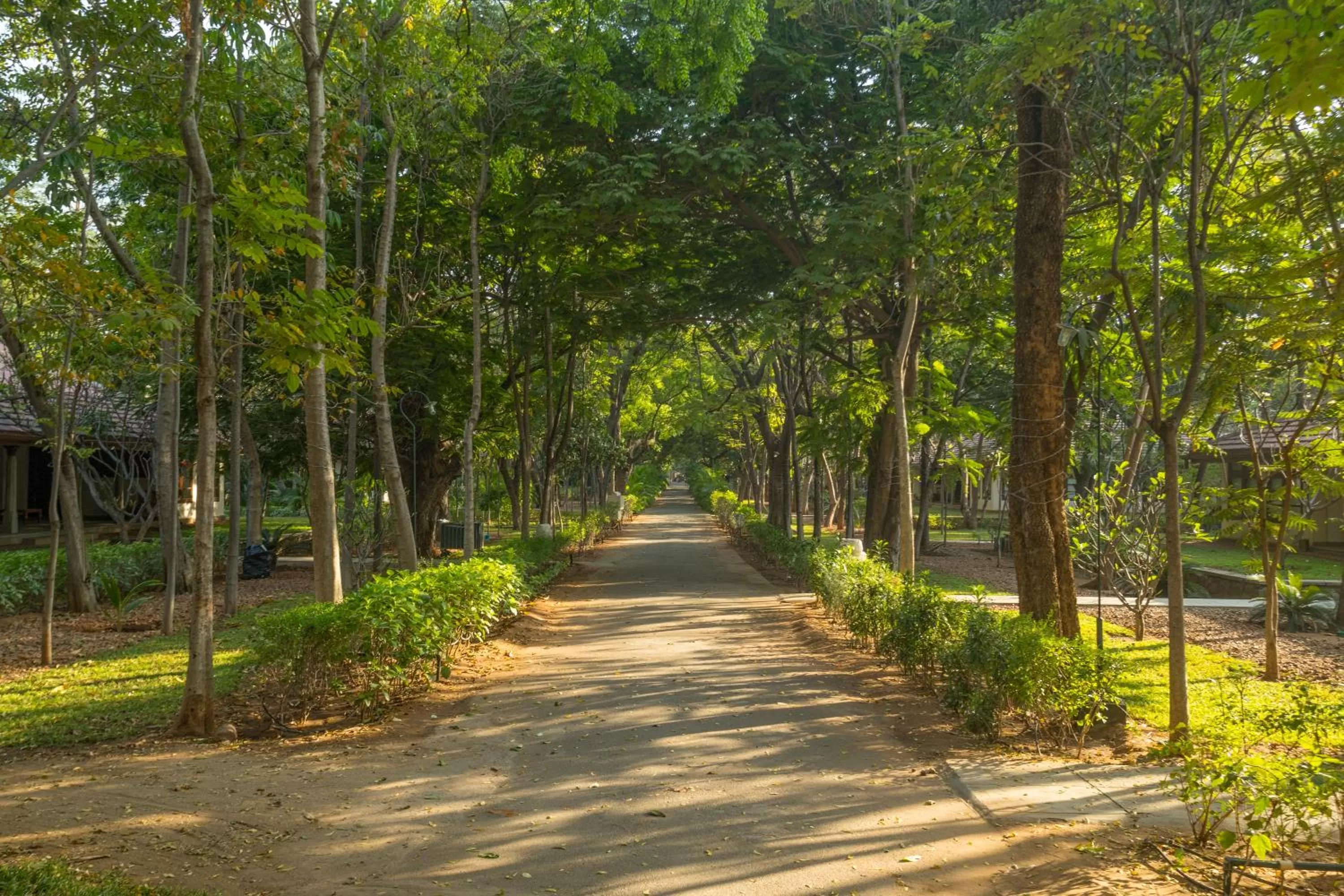 Garden in Heritage Madurai