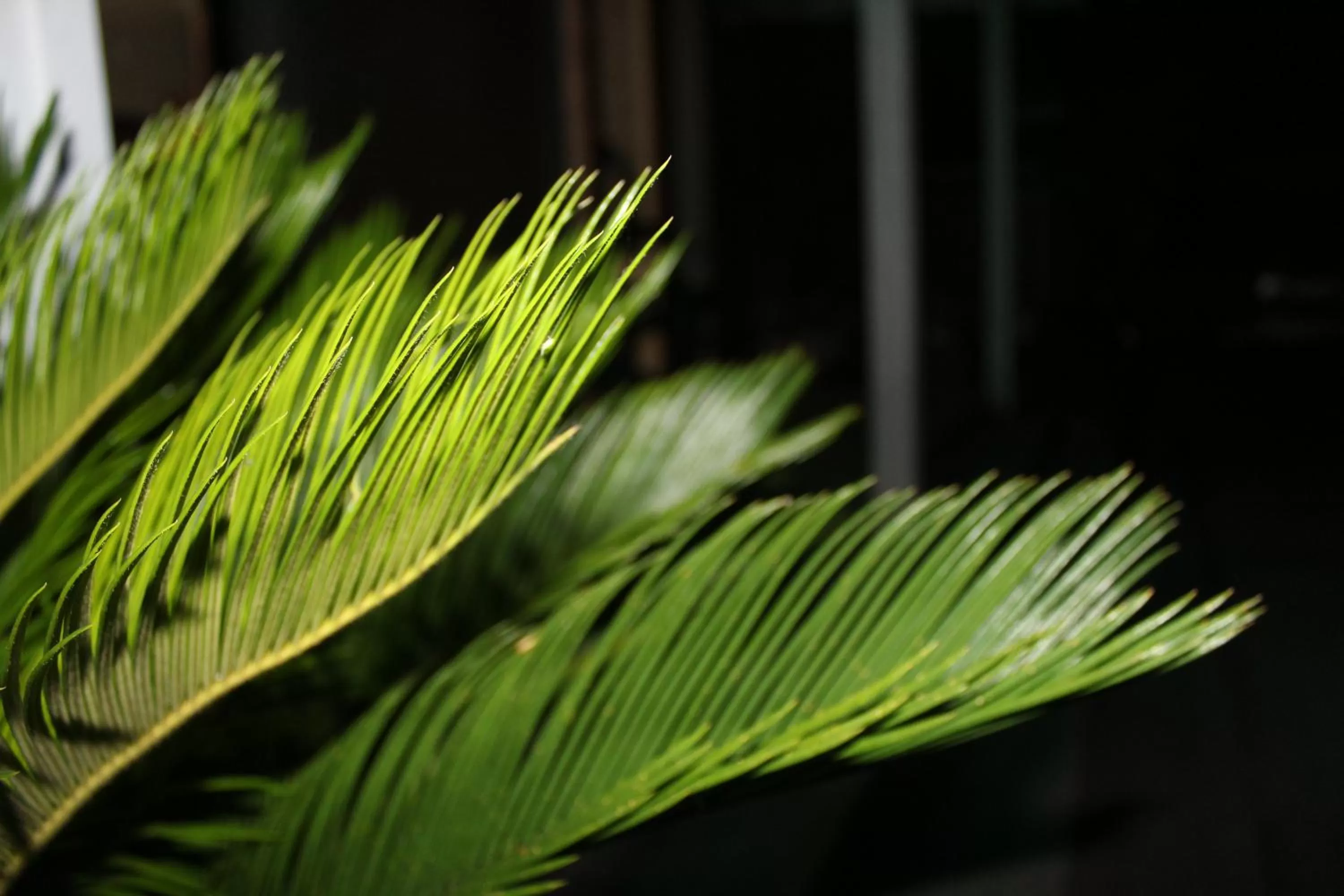 Other in Hotel Diana