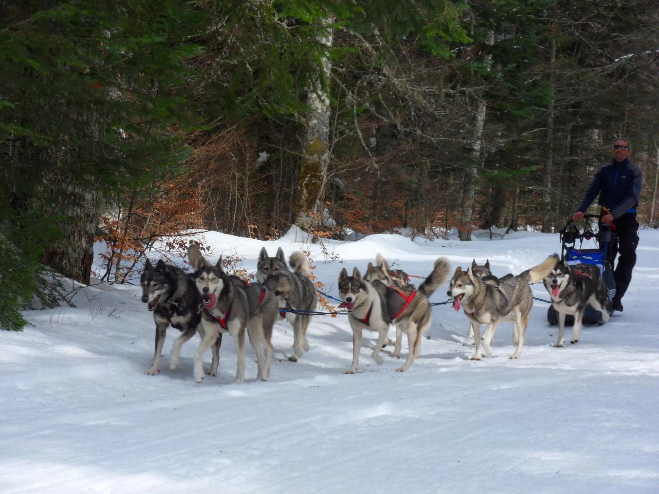 Sports in L'Estapade des Tourelons