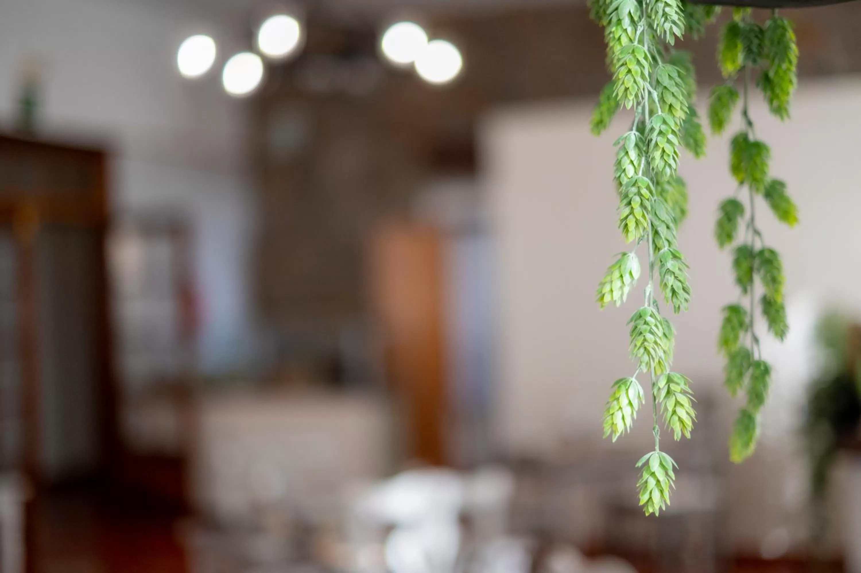 Decorative detail in Hotel El Tejar & Spa