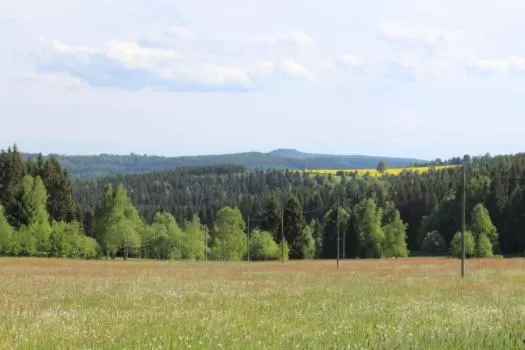 Restaurant/places to eat in Hotel Heilbrunnen