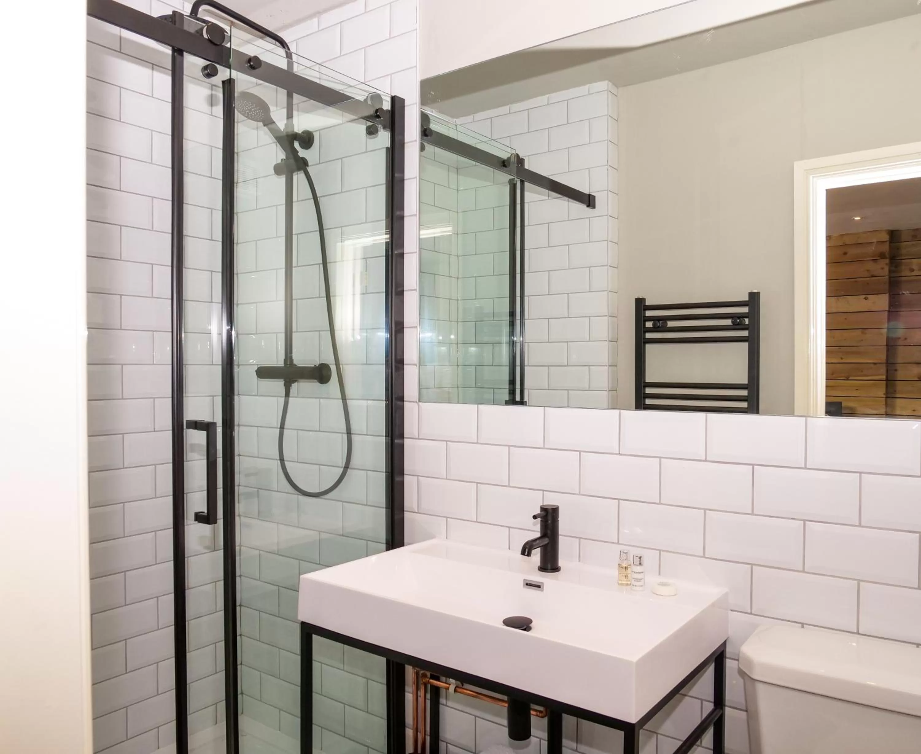 Toilet in The Lazy Pug