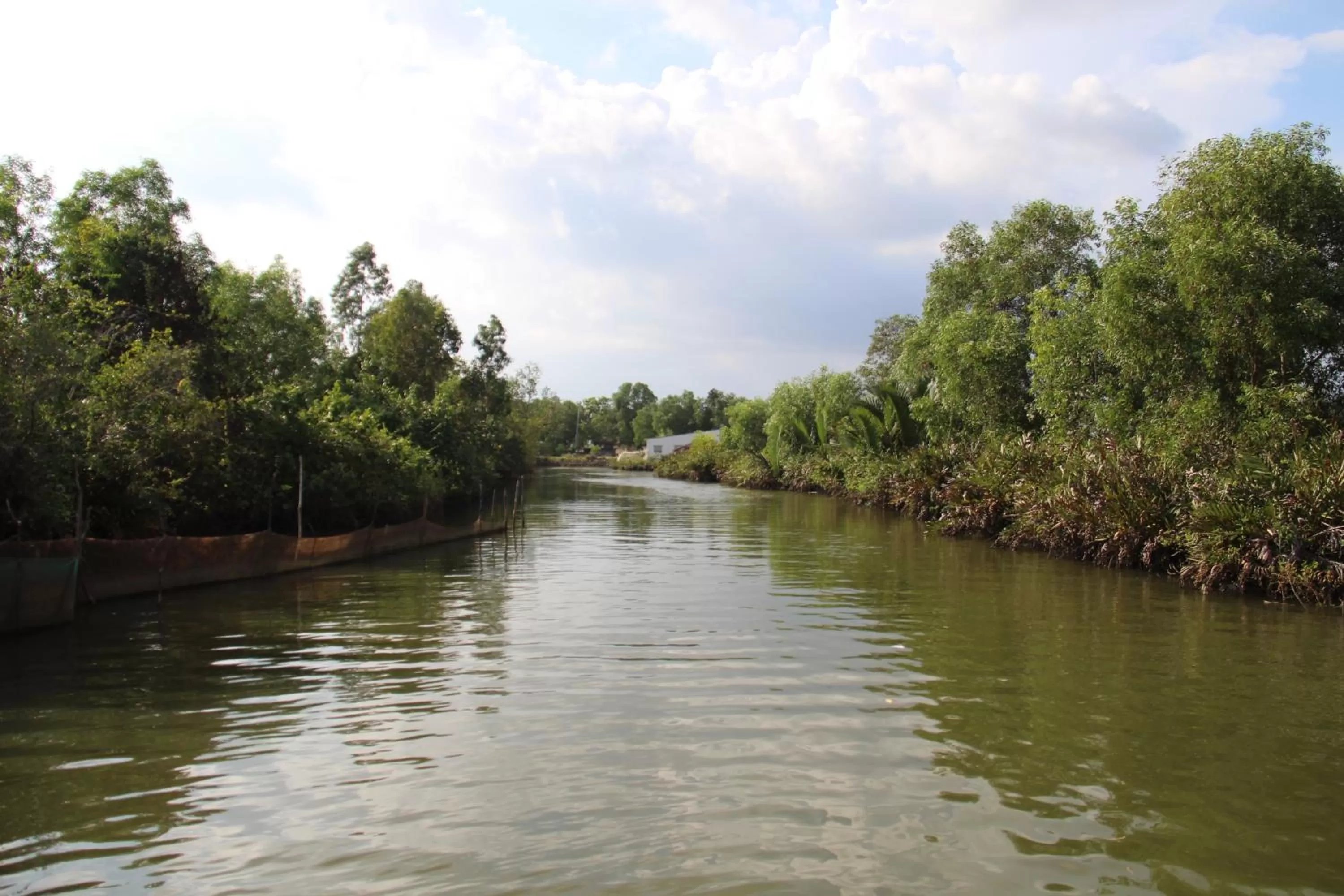 Activities in River Hotel