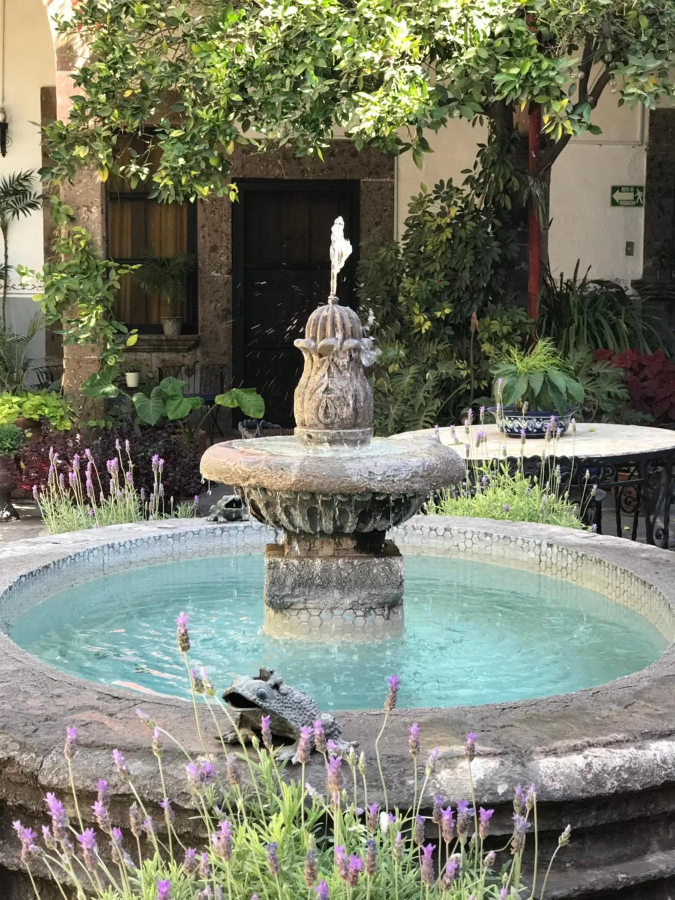Swimming Pool in Casa Carmen