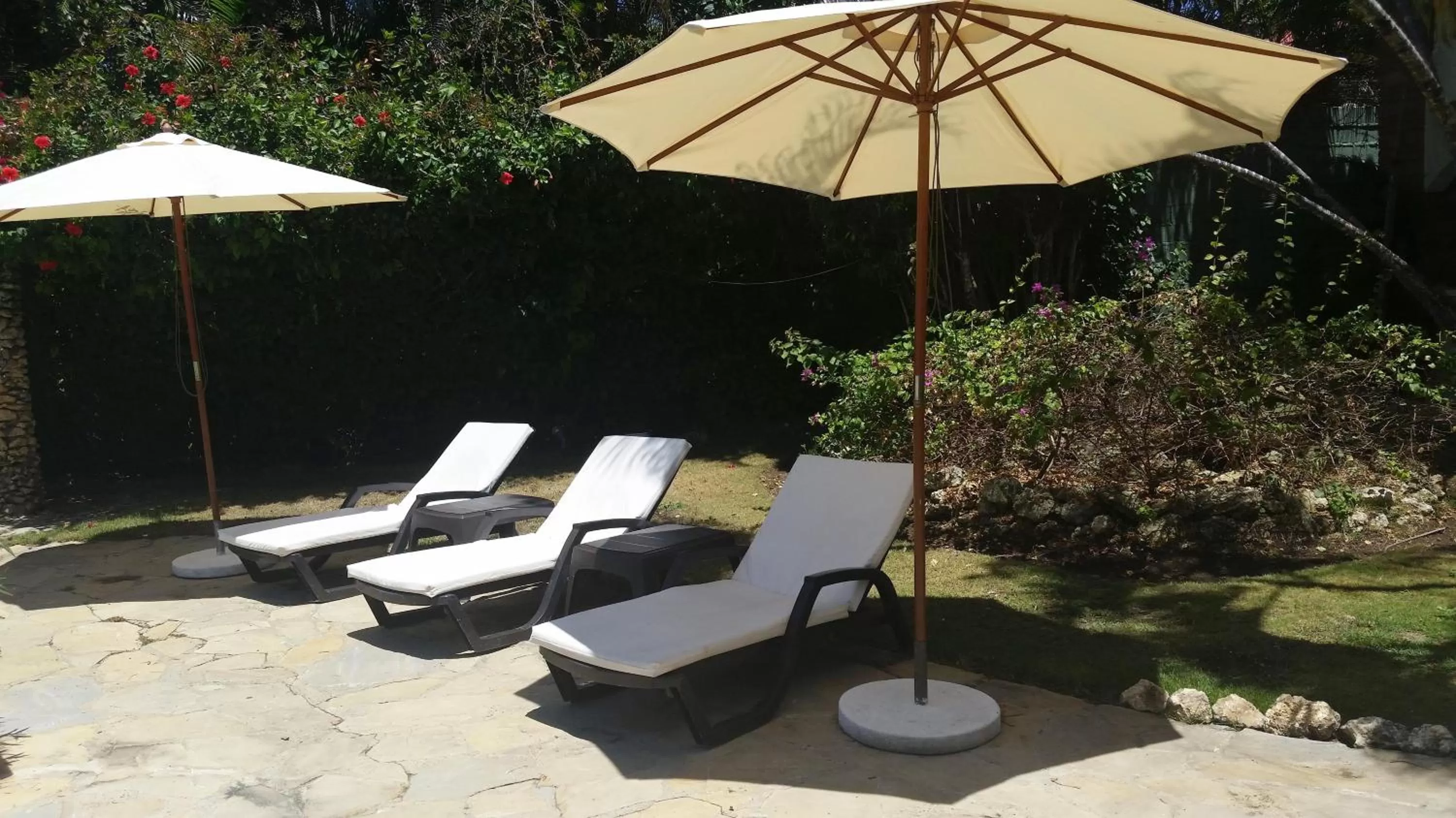 Garden in Hotel Voramar