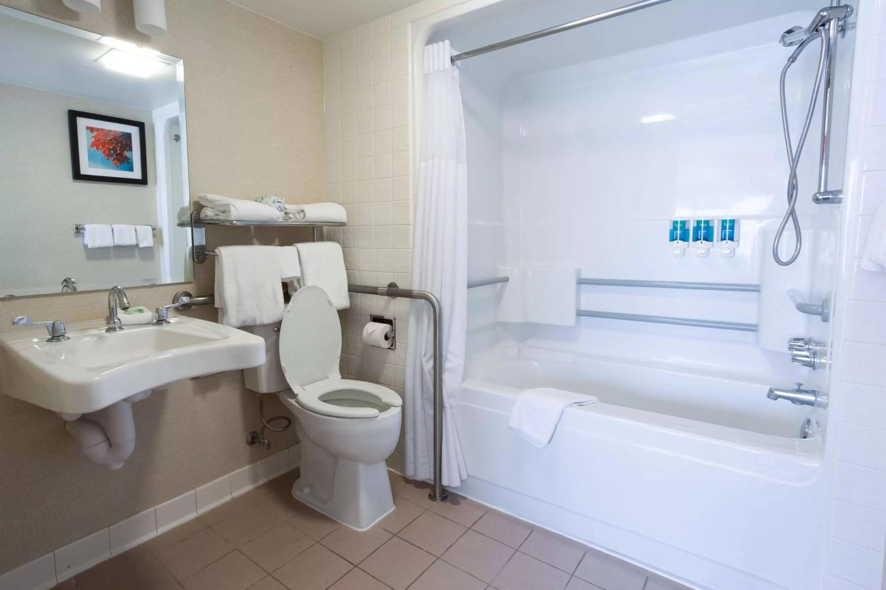 Bathroom in Pear Tree Inn Terre Haute