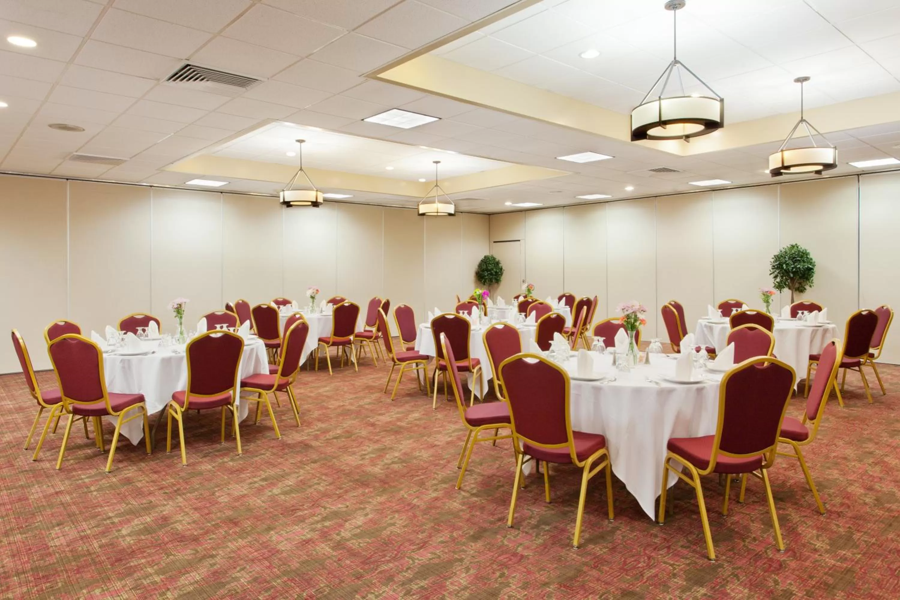 Meeting/conference room in Holiday Inn Shreveport Downtown by IHG