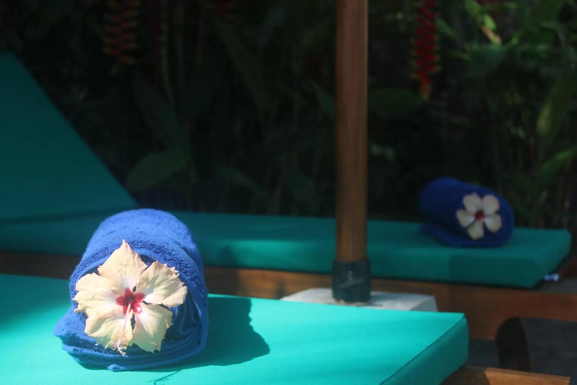 The Spice House Mirissa